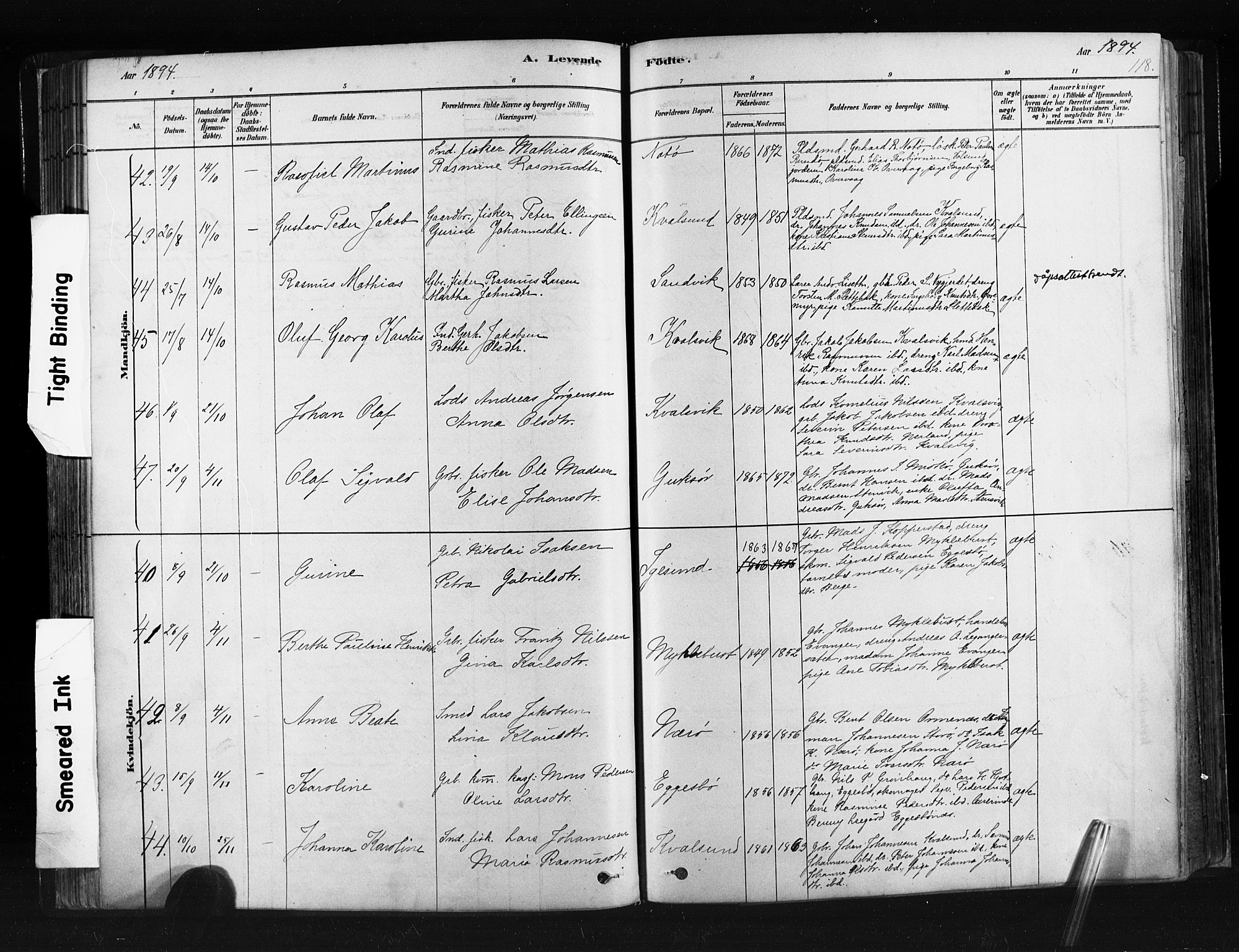 Ministerialprotokoller, klokkerbøker og fødselsregistre - Møre og Romsdal, AV/SAT-A-1454/507/L0073: Parish register (official) no. 507A08, 1878-1904, p. 118