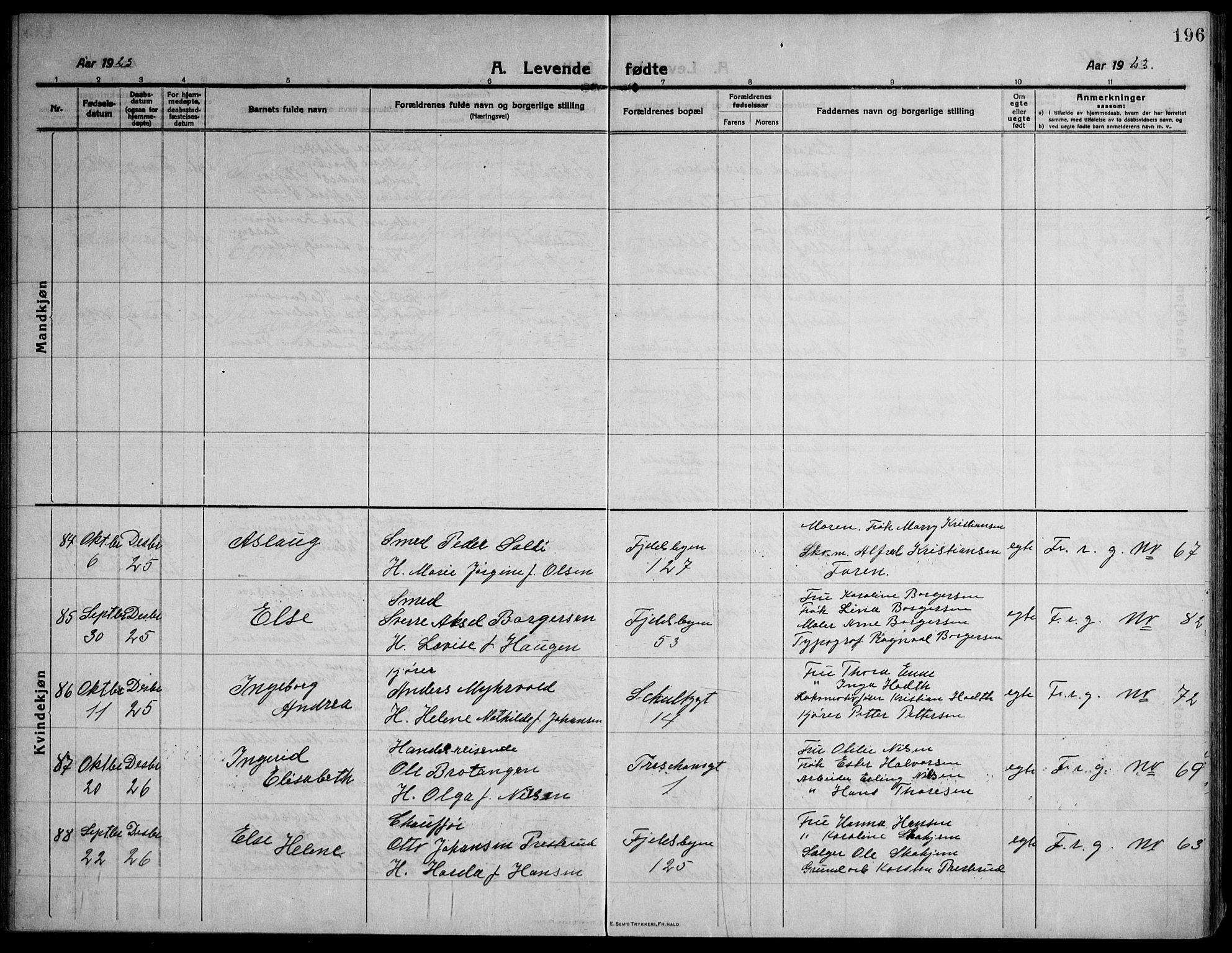 Strømsø kirkebøker, AV/SAKO-A-246/F/Fa/L0029: Parish register (official) no. I 27, 1915-1930, p. 196