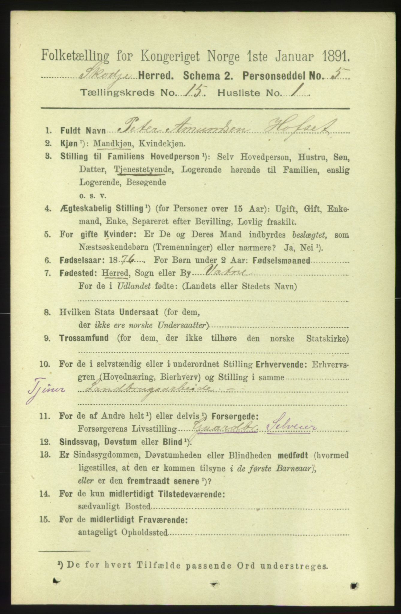 RA, 1891 census for 1529 Skodje, 1891, p. 3212