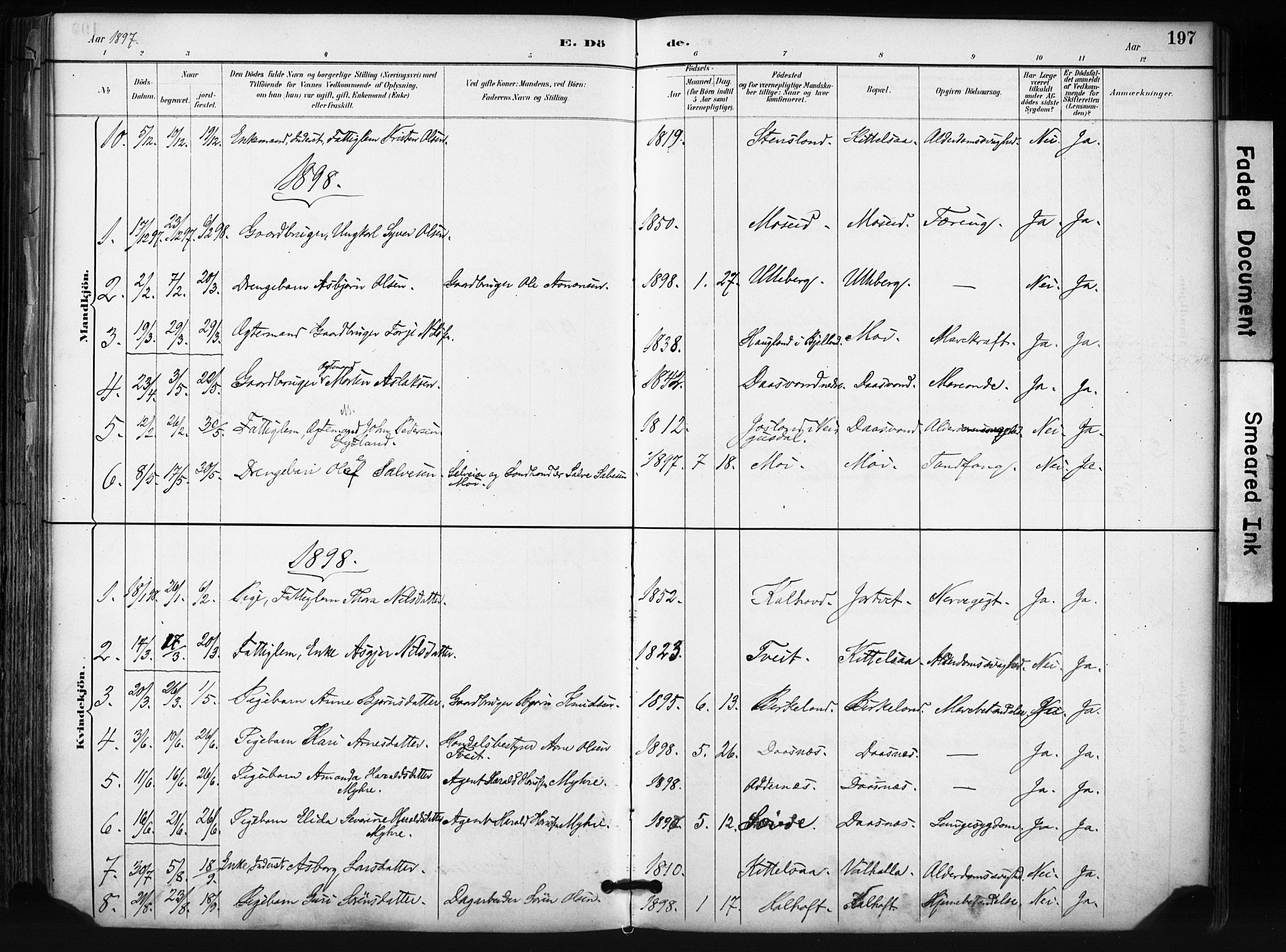 Evje sokneprestkontor, SAK/1111-0008/F/Fa/Fab/L0003: Parish register (official) no. A 3, 1884-1909, p. 197