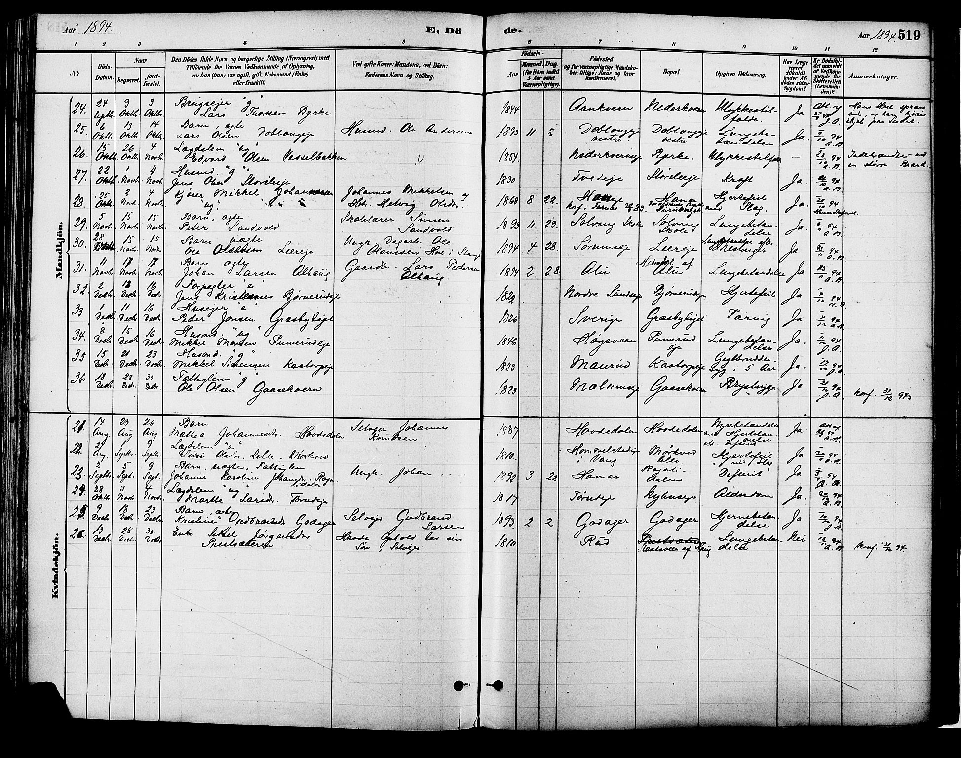 Vang prestekontor, Hedmark, AV/SAH-PREST-008/H/Ha/Haa/L0018B: Parish register (official) no. 18B, 1880-1906, p. 519