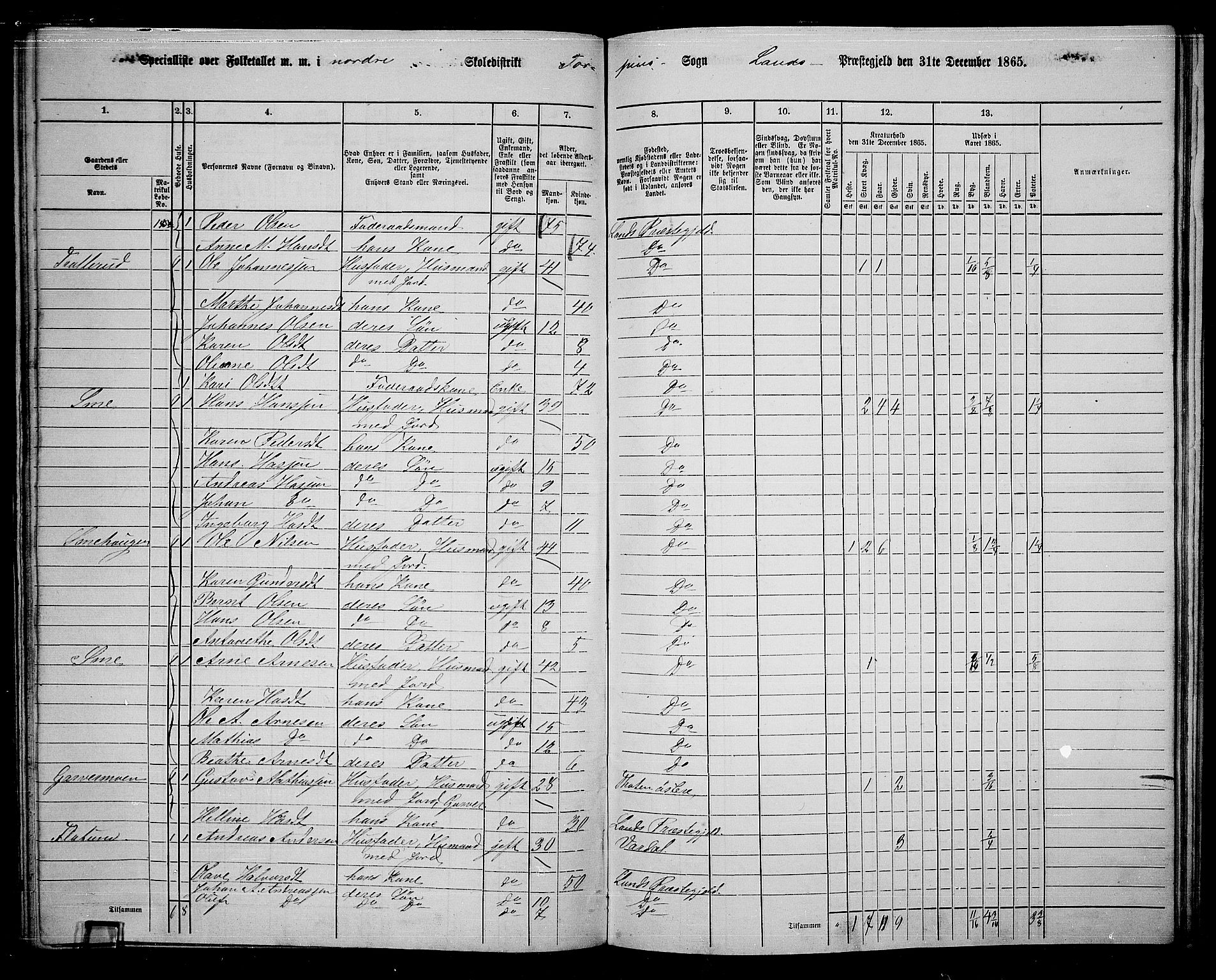 RA, 1865 census for Land, 1865, p. 151