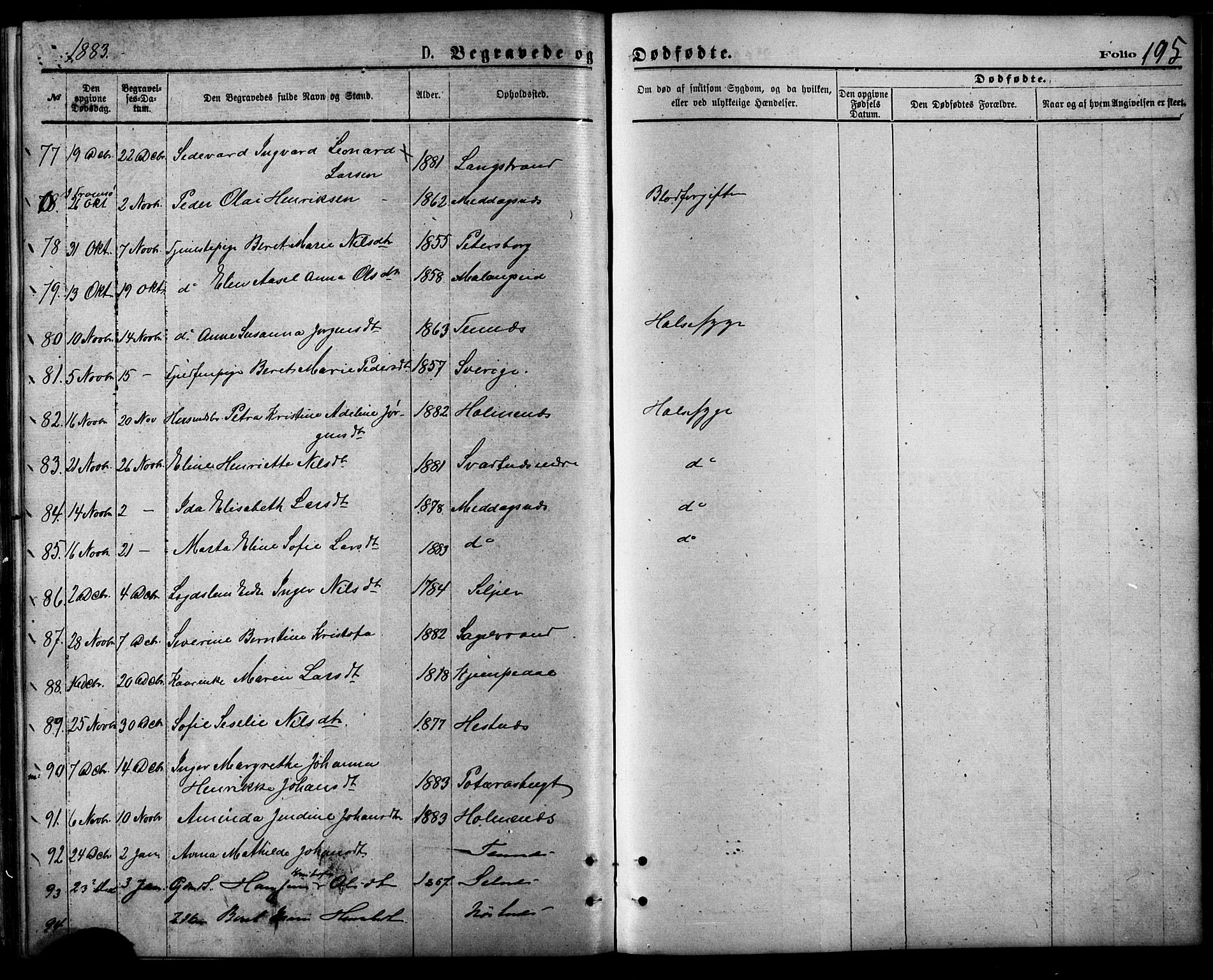 Balsfjord sokneprestembete, SATØ/S-1303/G/Ga/L0004kirke: Parish register (official) no. 4, 1871-1883, p. 195