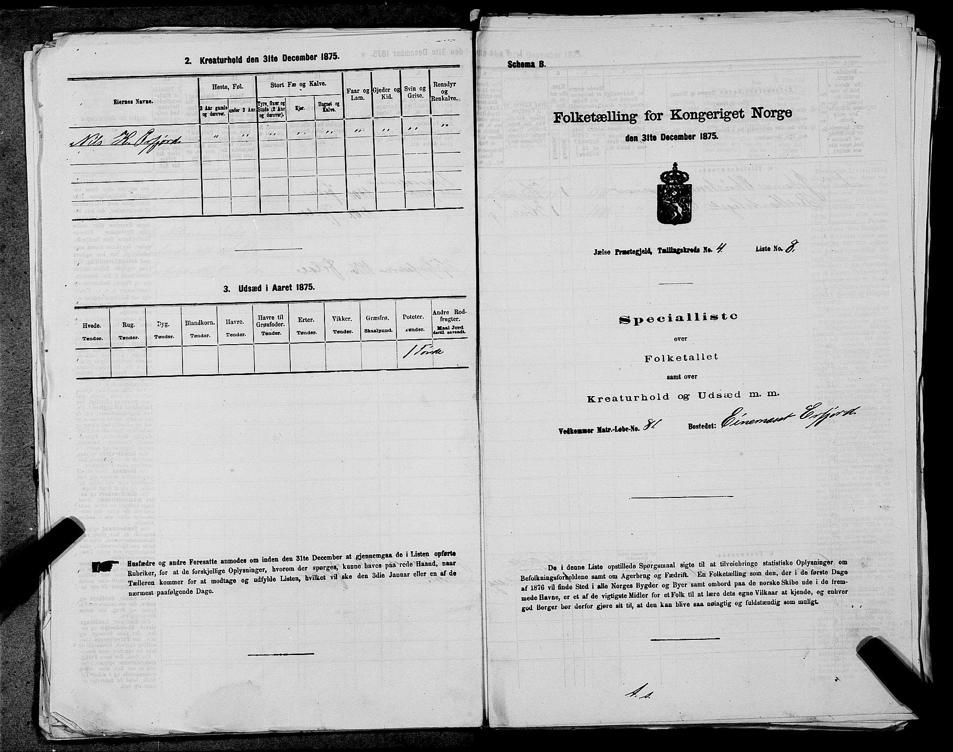 SAST, 1875 census for 1138P Jelsa, 1875, p. 335