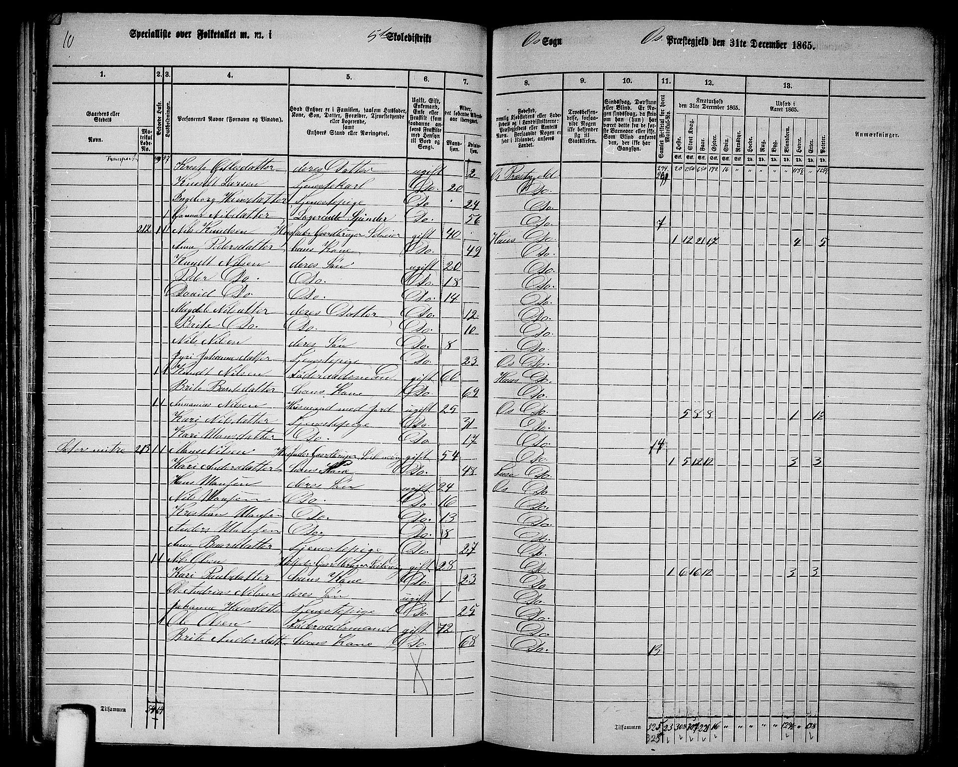 RA, 1865 census for Os, 1865, p. 96