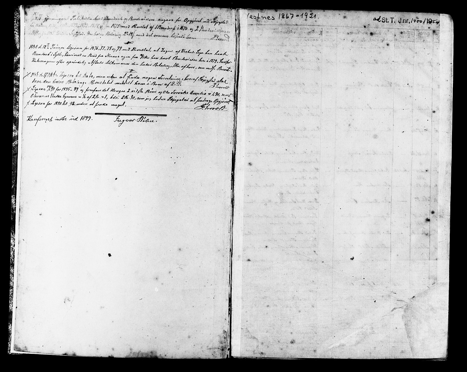 Ministerialprotokoller, klokkerbøker og fødselsregistre - Møre og Romsdal, SAT/A-1454/541/L0547: Parish register (copy) no. 541C02, 1867-1921