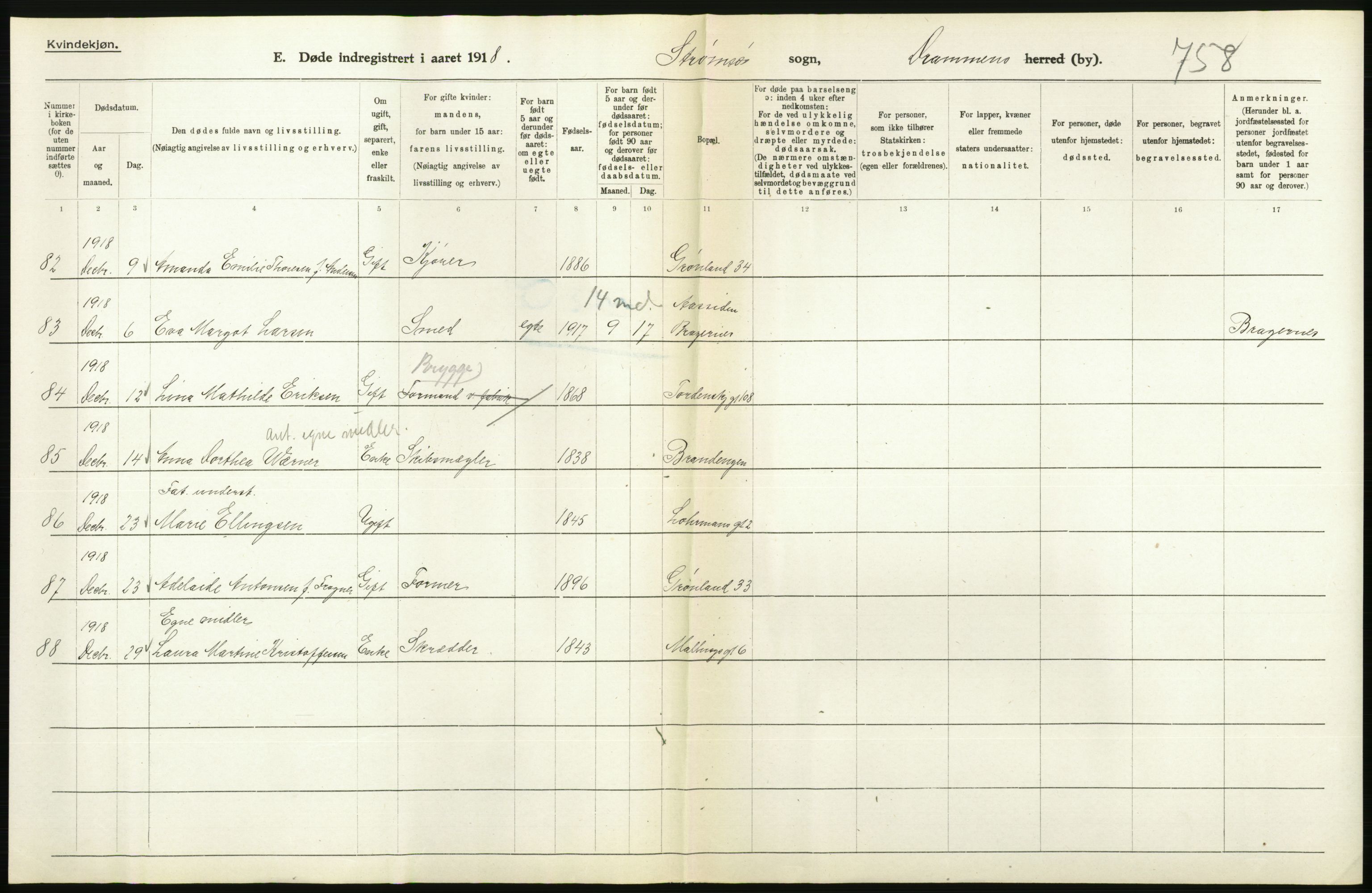 Statistisk sentralbyrå, Sosiodemografiske emner, Befolkning, AV/RA-S-2228/D/Df/Dfb/Dfbh/L0020: Buskerud fylke: Døde. Bygder og byer., 1918, p. 528