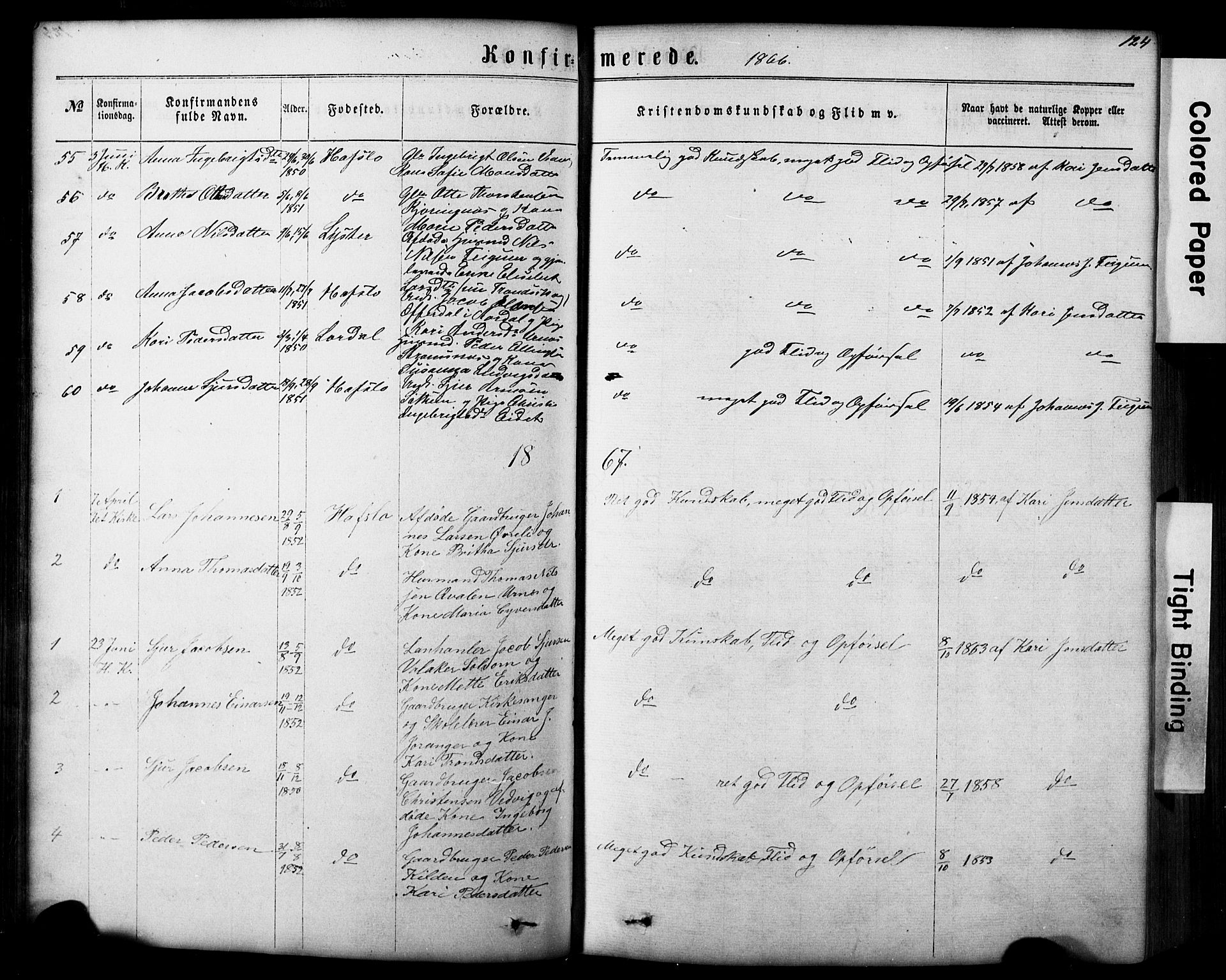 Hafslo sokneprestembete, SAB/A-80301/H/Hab/Haba/L0001: Parish register (copy) no. A 1, 1866-1908, p. 124