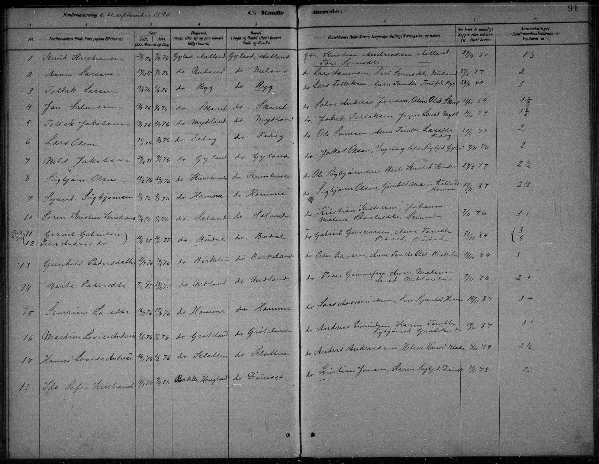 Bakke sokneprestkontor, SAK/1111-0002/F/Fb/Fbb/L0003: Parish register (copy) no. B 3, 1878-1896, p. 91
