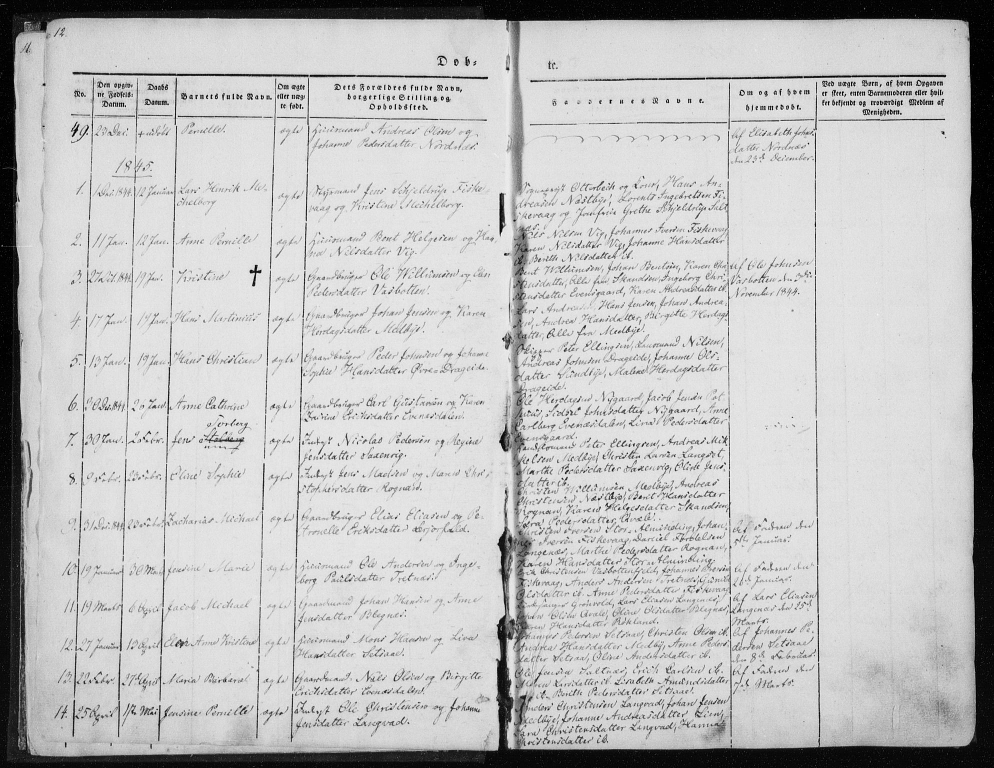 Ministerialprotokoller, klokkerbøker og fødselsregistre - Nordland, AV/SAT-A-1459/847/L0666: Parish register (official) no. 847A06, 1842-1871, p. 12