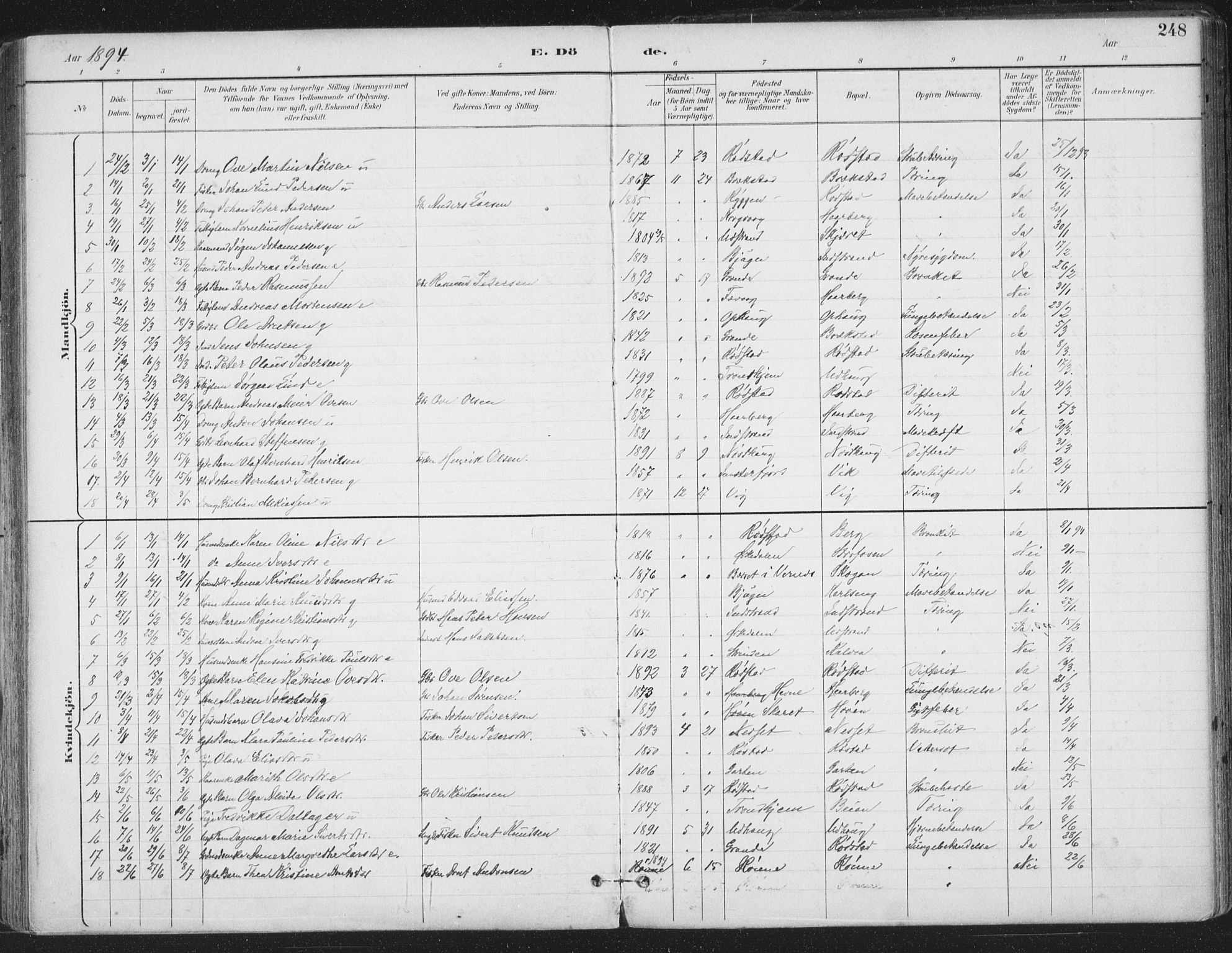 Ministerialprotokoller, klokkerbøker og fødselsregistre - Sør-Trøndelag, SAT/A-1456/659/L0743: Parish register (official) no. 659A13, 1893-1910, p. 248