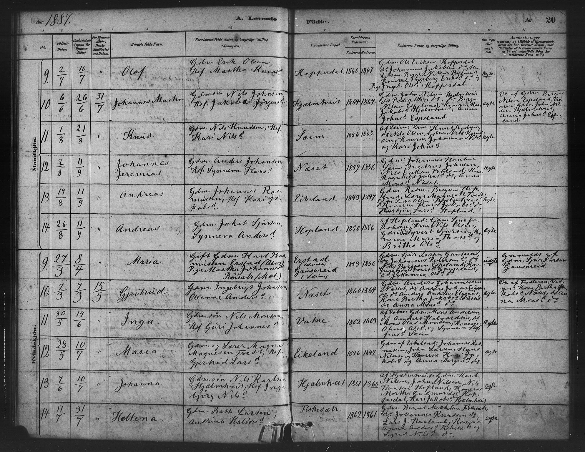 Alversund Sokneprestembete, AV/SAB-A-73901/H/Ha/Haa/Haad/L0001: Parish register (official) no. D 1, 1880-1898, p. 20