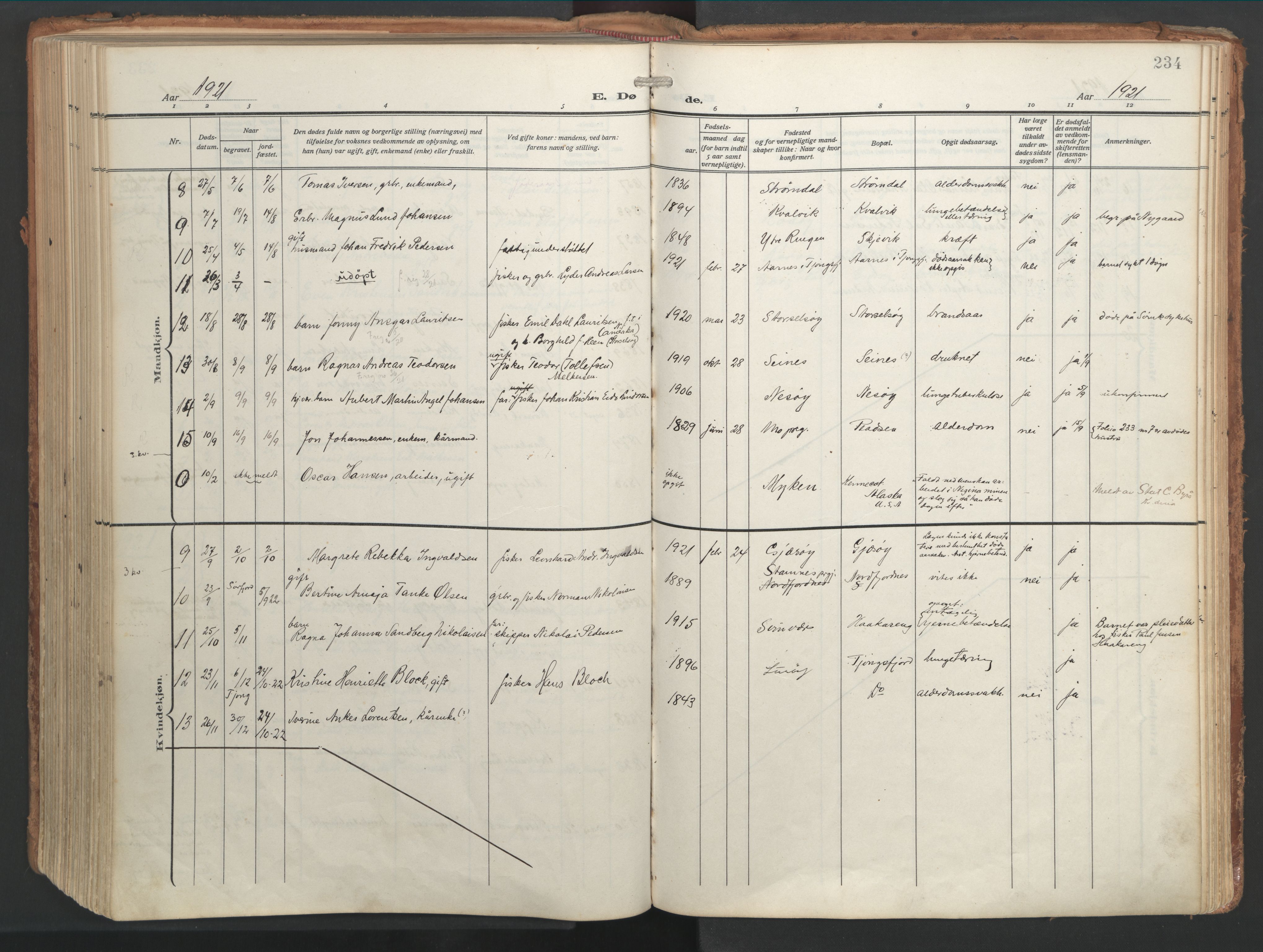 Ministerialprotokoller, klokkerbøker og fødselsregistre - Nordland, AV/SAT-A-1459/841/L0614: Parish register (official) no. 841A17, 1911-1925, p. 234