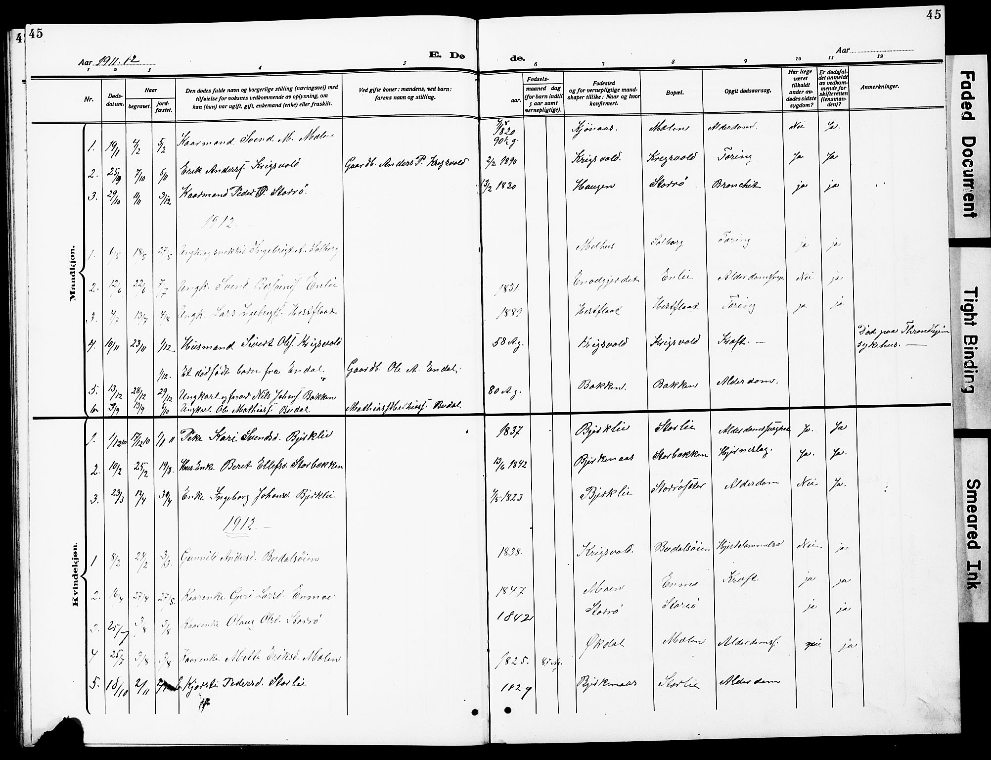 Ministerialprotokoller, klokkerbøker og fødselsregistre - Sør-Trøndelag, SAT/A-1456/690/L1052: Parish register (copy) no. 690C02, 1907-1929, p. 45