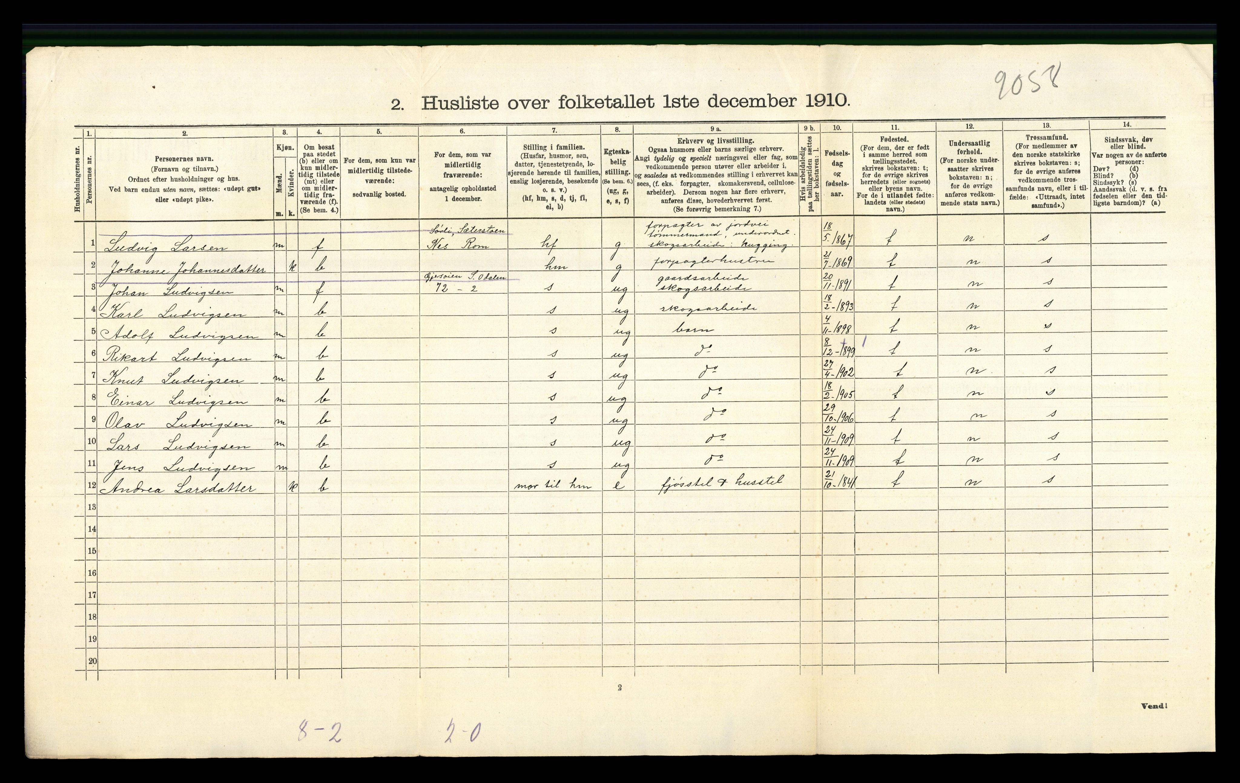 RA, 1910 census for Sør-Odal, 1910, p. 1867