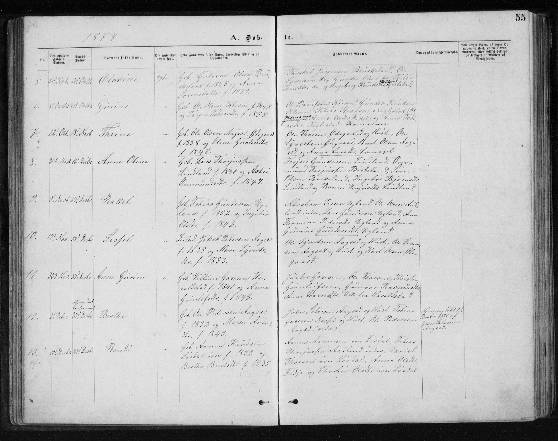Holum sokneprestkontor, SAK/1111-0022/F/Fb/Fbb/L0003: Parish register (copy) no. B 3, 1875-1898, p. 55