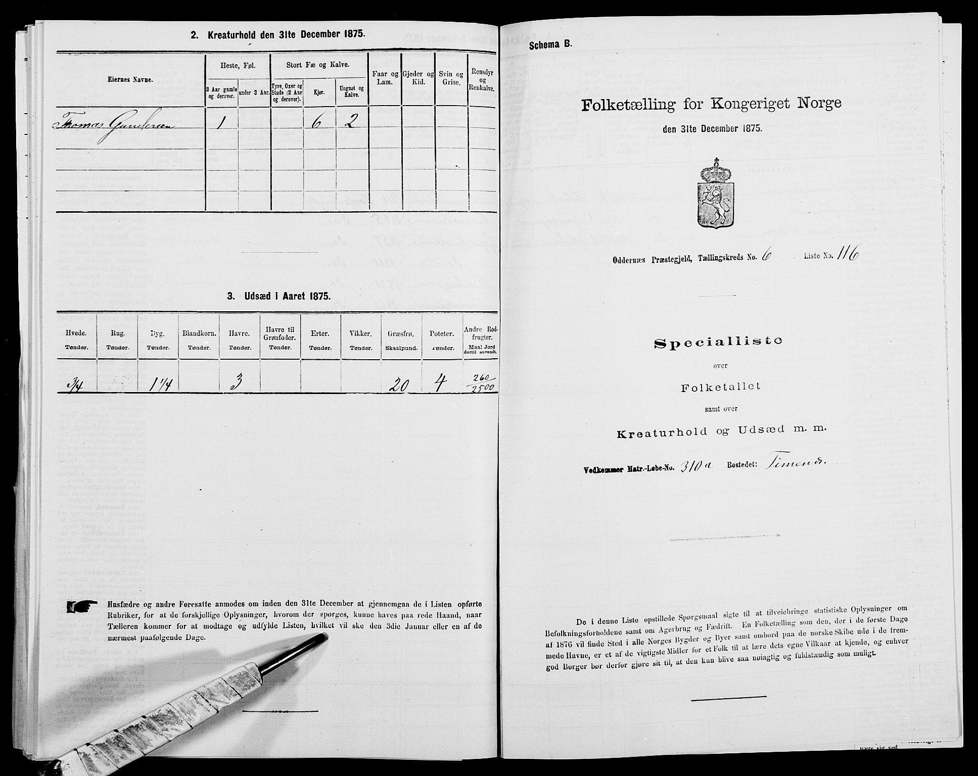 SAK, 1875 census for 1012P Oddernes, 1875, p. 1223