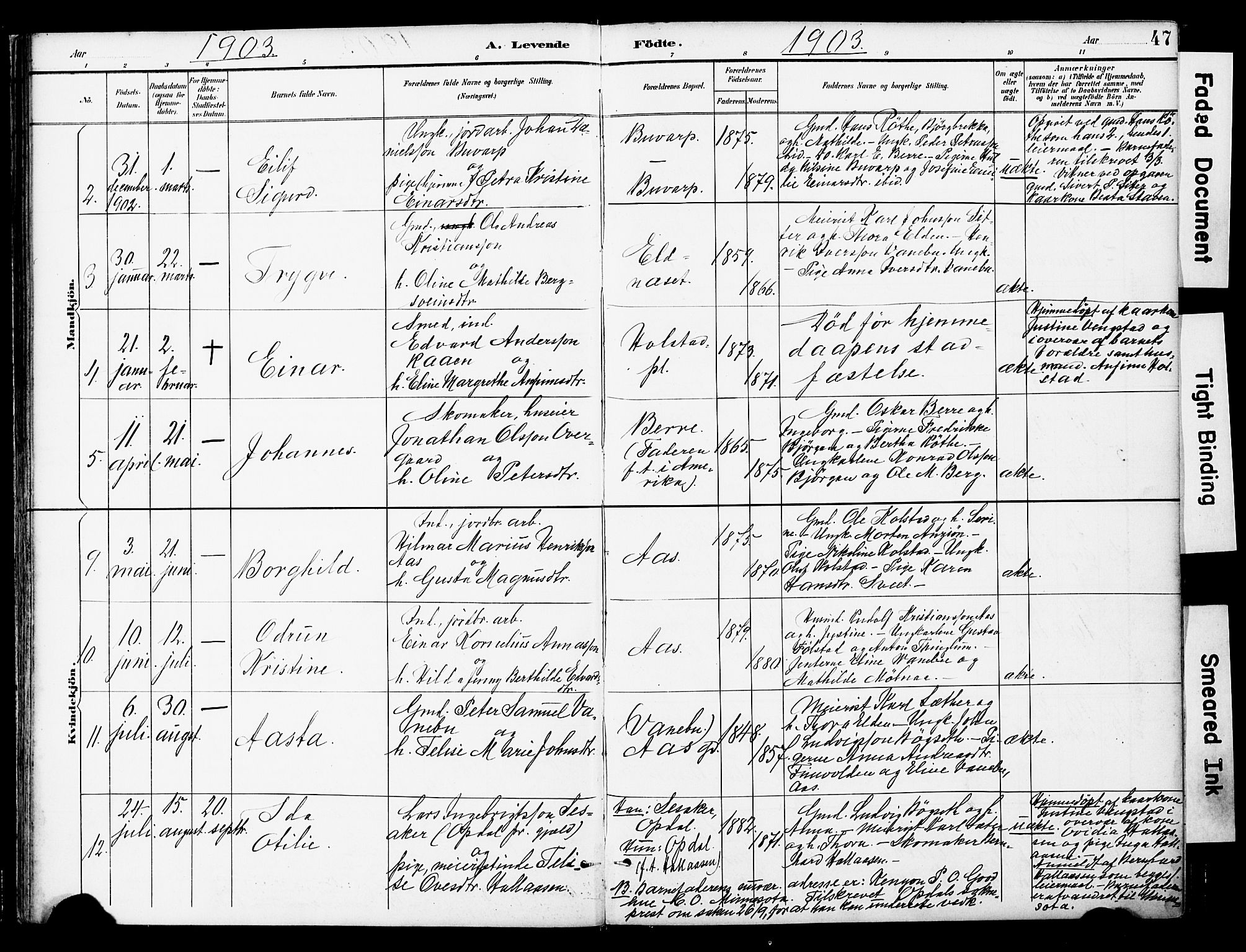 Ministerialprotokoller, klokkerbøker og fødselsregistre - Nord-Trøndelag, AV/SAT-A-1458/742/L0409: Parish register (official) no. 742A02, 1891-1905, p. 47