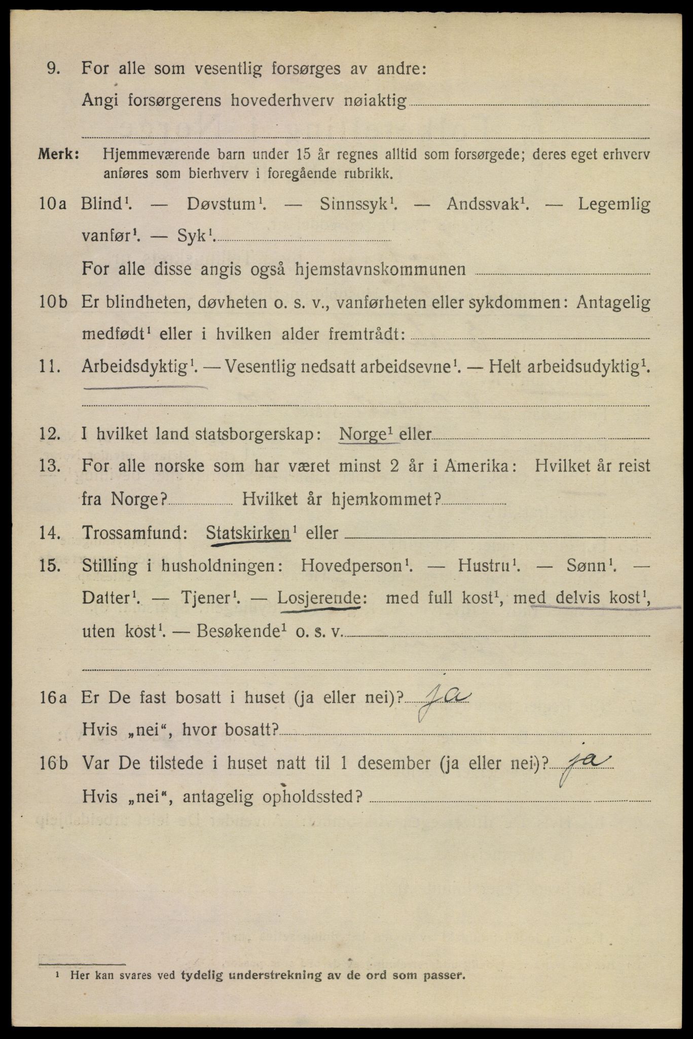 SAKO, 1920 census for Horten, 1920, p. 19016