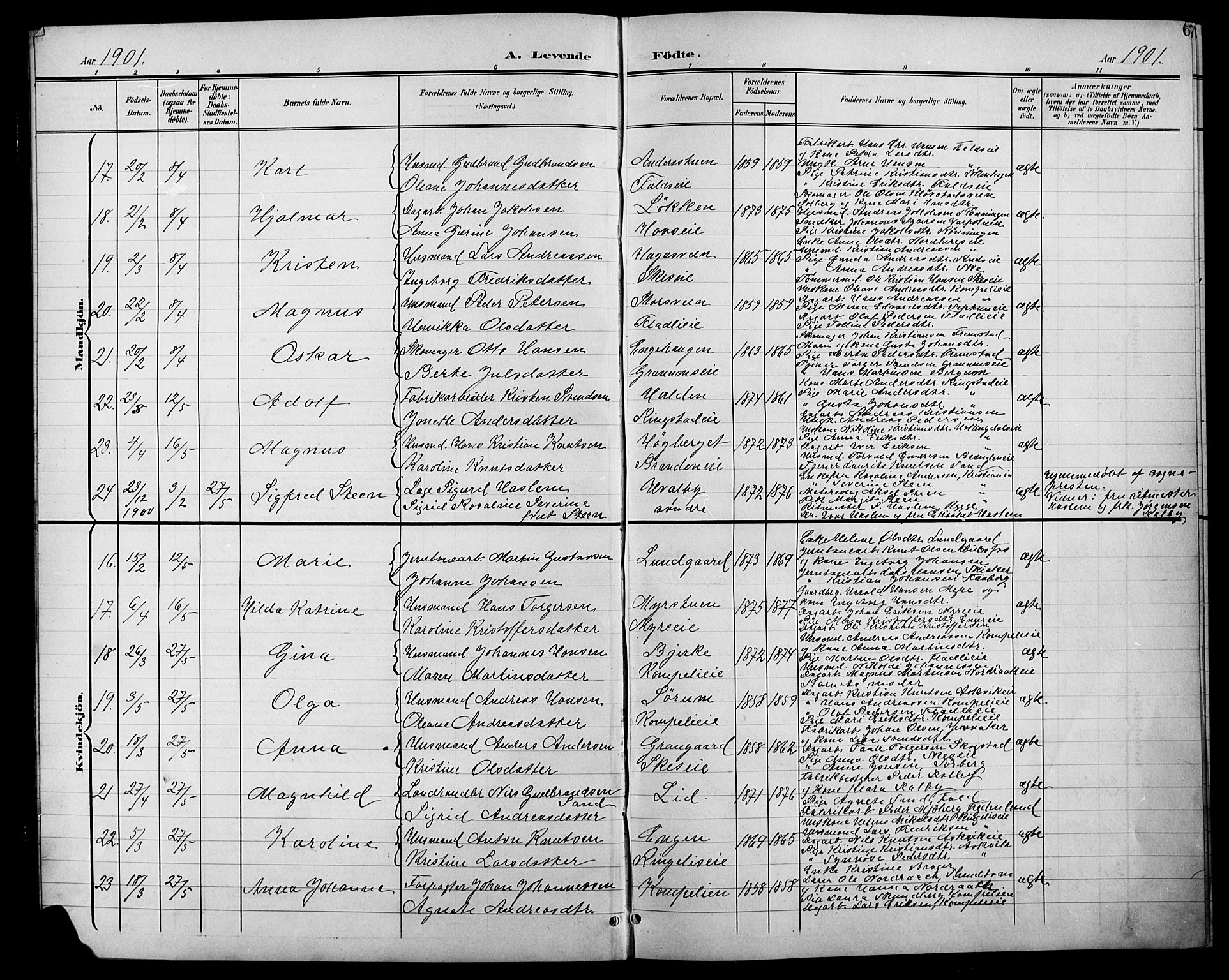 Søndre Land prestekontor, AV/SAH-PREST-122/L/L0004: Parish register (copy) no. 4, 1901-1915, p. 6