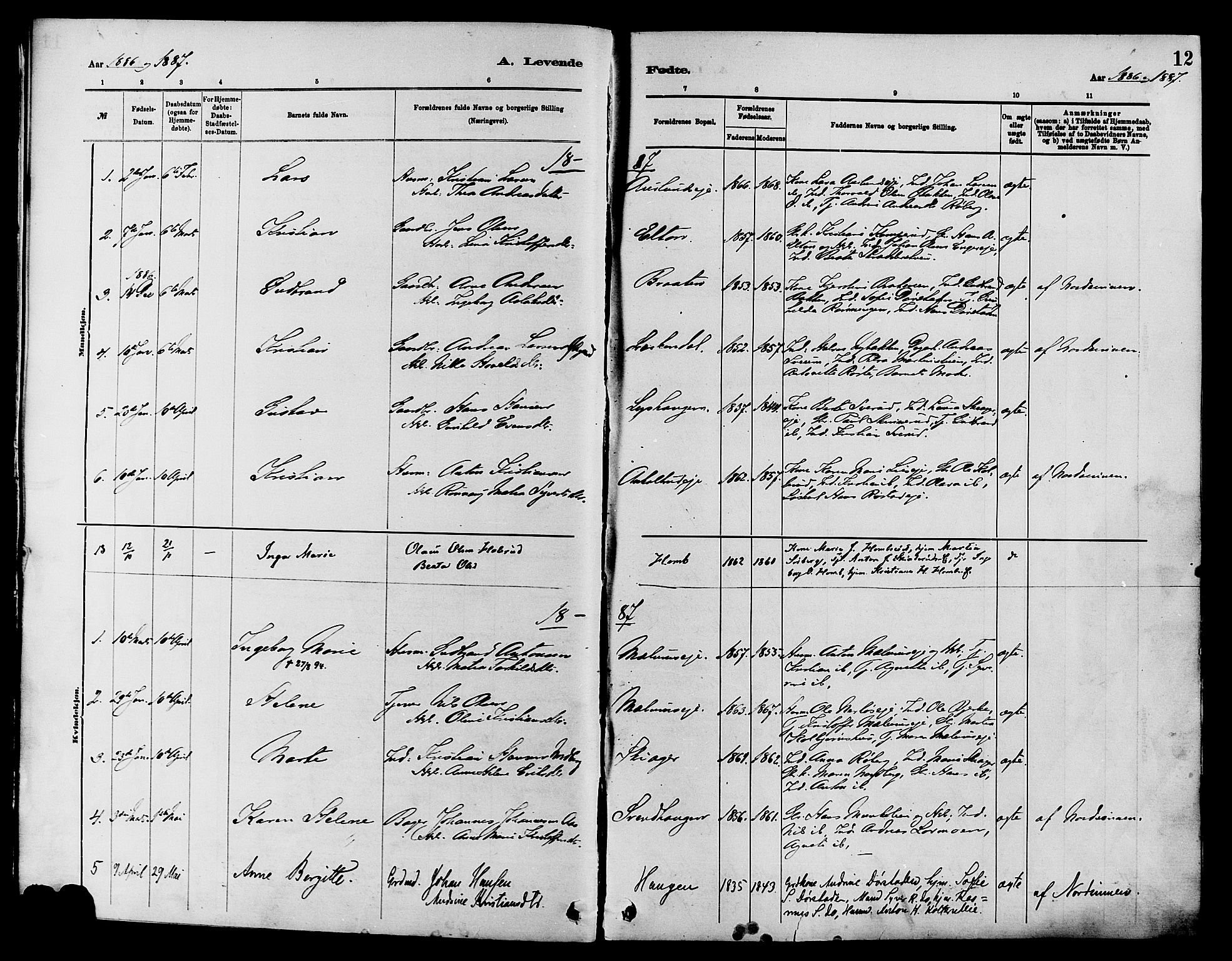 Nordre Land prestekontor, SAH/PREST-124/H/Ha/Haa/L0003: Parish register (official) no. 3, 1882-1896, p. 12