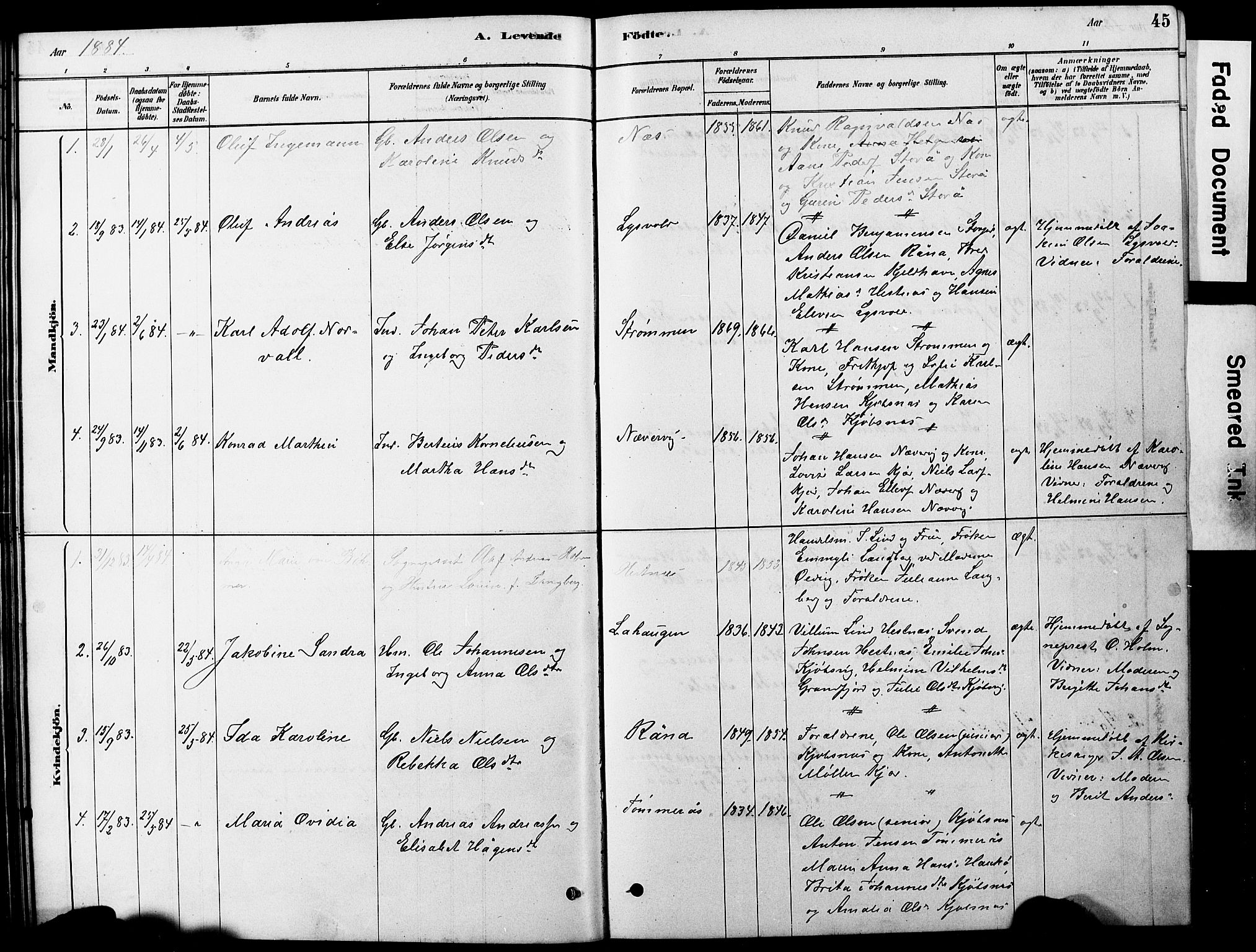 Ministerialprotokoller, klokkerbøker og fødselsregistre - Nordland, AV/SAT-A-1459/861/L0875: Parish register (copy) no. 861C01, 1879-1887, p. 45