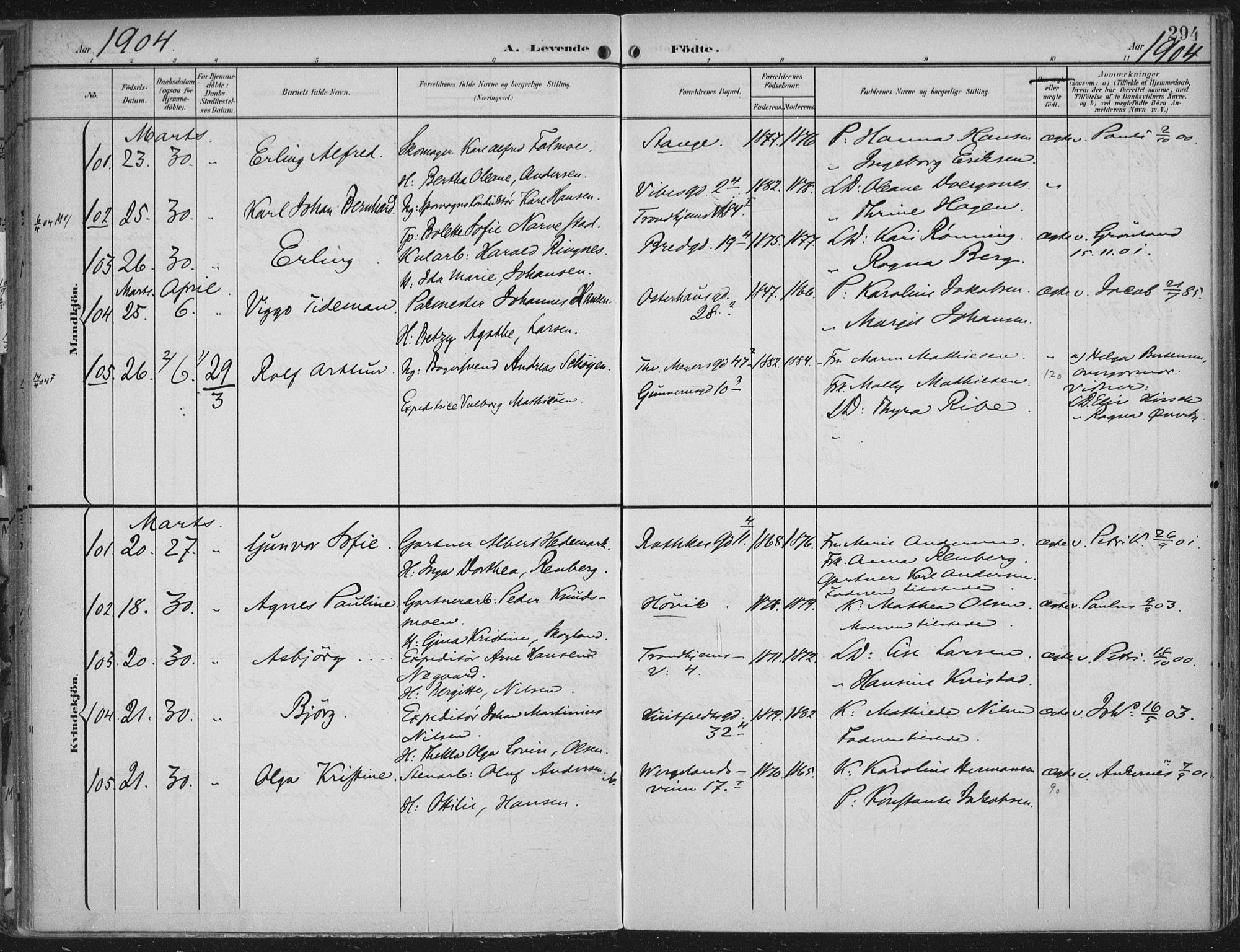 Rikshospitalet prestekontor Kirkebøker, SAO/A-10309b/F/L0012: Parish register (official) no. 12, 1901-1904, p. 294