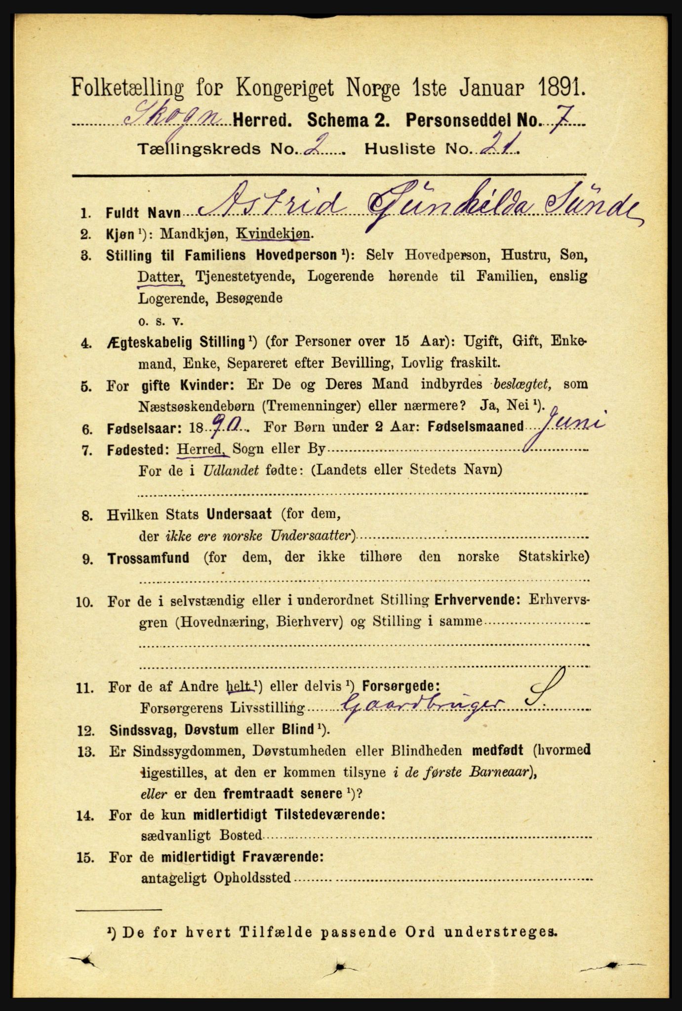 RA, 1891 census for 1719 Skogn, 1891, p. 1094