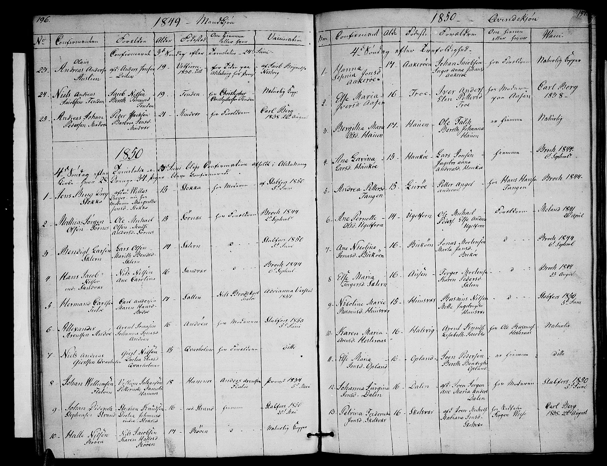 Ministerialprotokoller, klokkerbøker og fødselsregistre - Nordland, AV/SAT-A-1459/830/L0460: Parish register (copy) no. 830C02, 1843-1865, p. 196-197