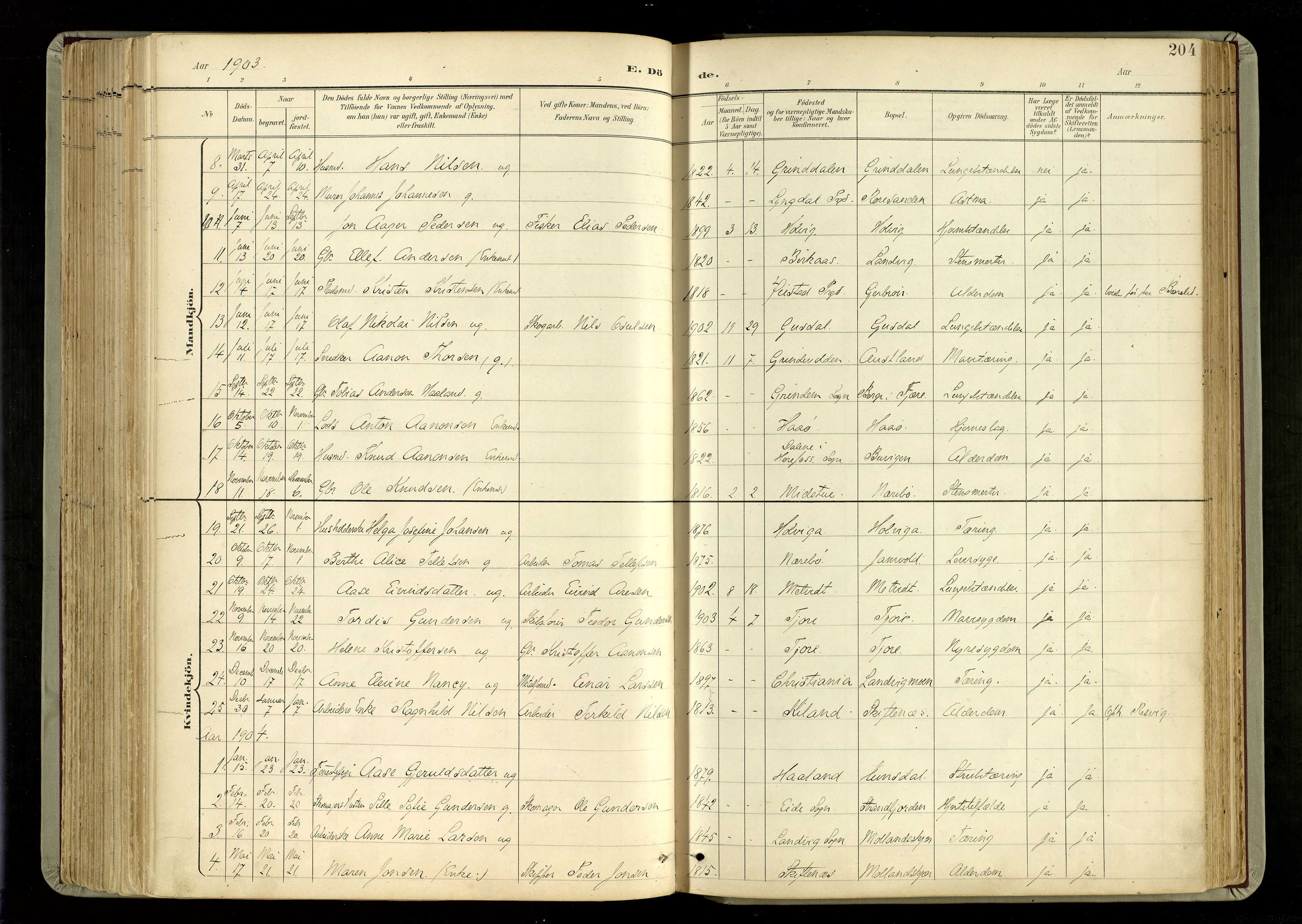 Hommedal sokneprestkontor, SAK/1111-0023/F/Fa/Fab/L0007: Parish register (official) no. A 7, 1898-1924, p. 204