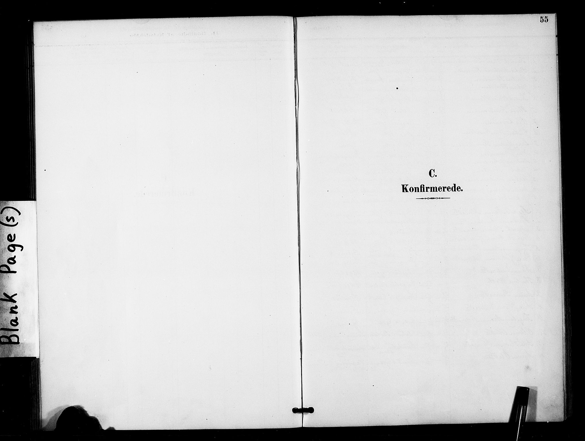 Ministerialprotokoller, klokkerbøker og fødselsregistre - Møre og Romsdal, SAT/A-1454/571/L0836: Parish register (official) no. 571A01, 1884-1899, p. 55