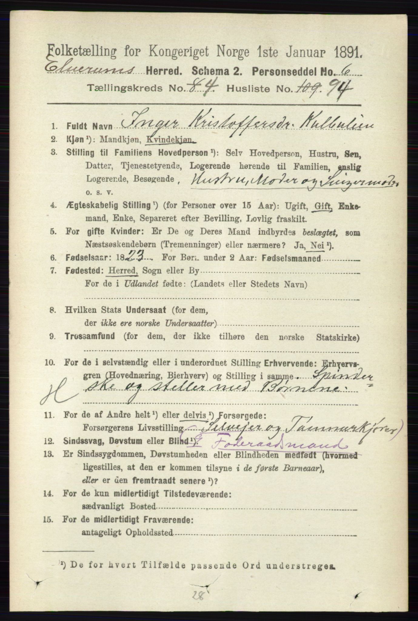 RA, 1891 census for 0427 Elverum, 1891, p. 2919