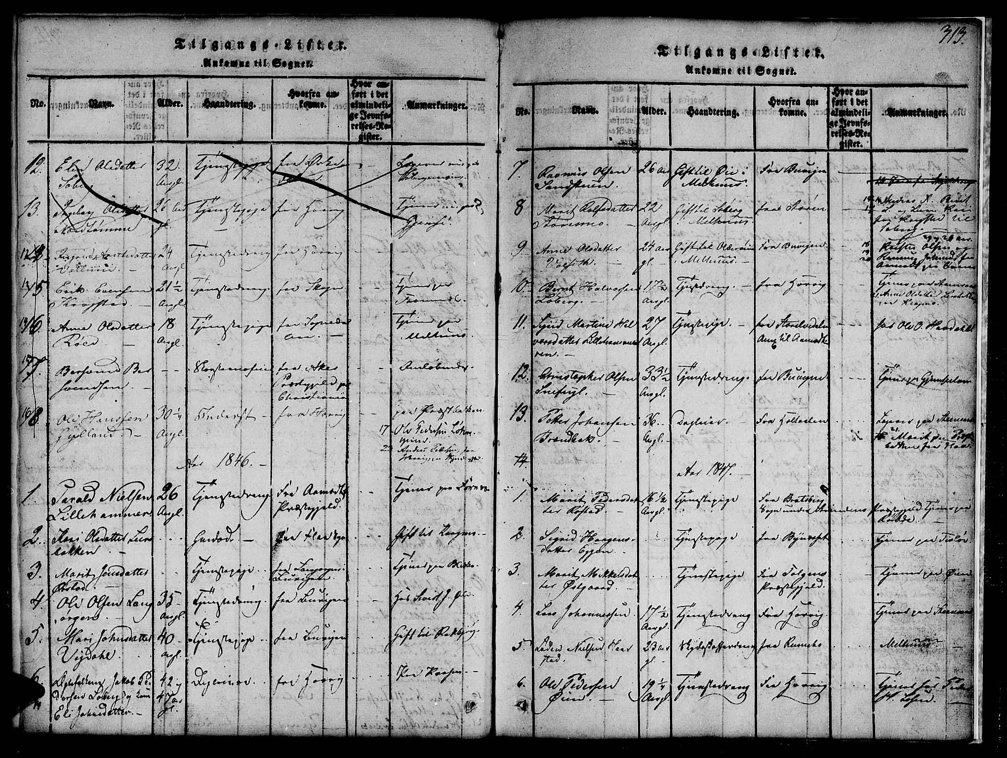 Ministerialprotokoller, klokkerbøker og fødselsregistre - Sør-Trøndelag, SAT/A-1456/691/L1092: Parish register (copy) no. 691C03, 1816-1852, p. 313
