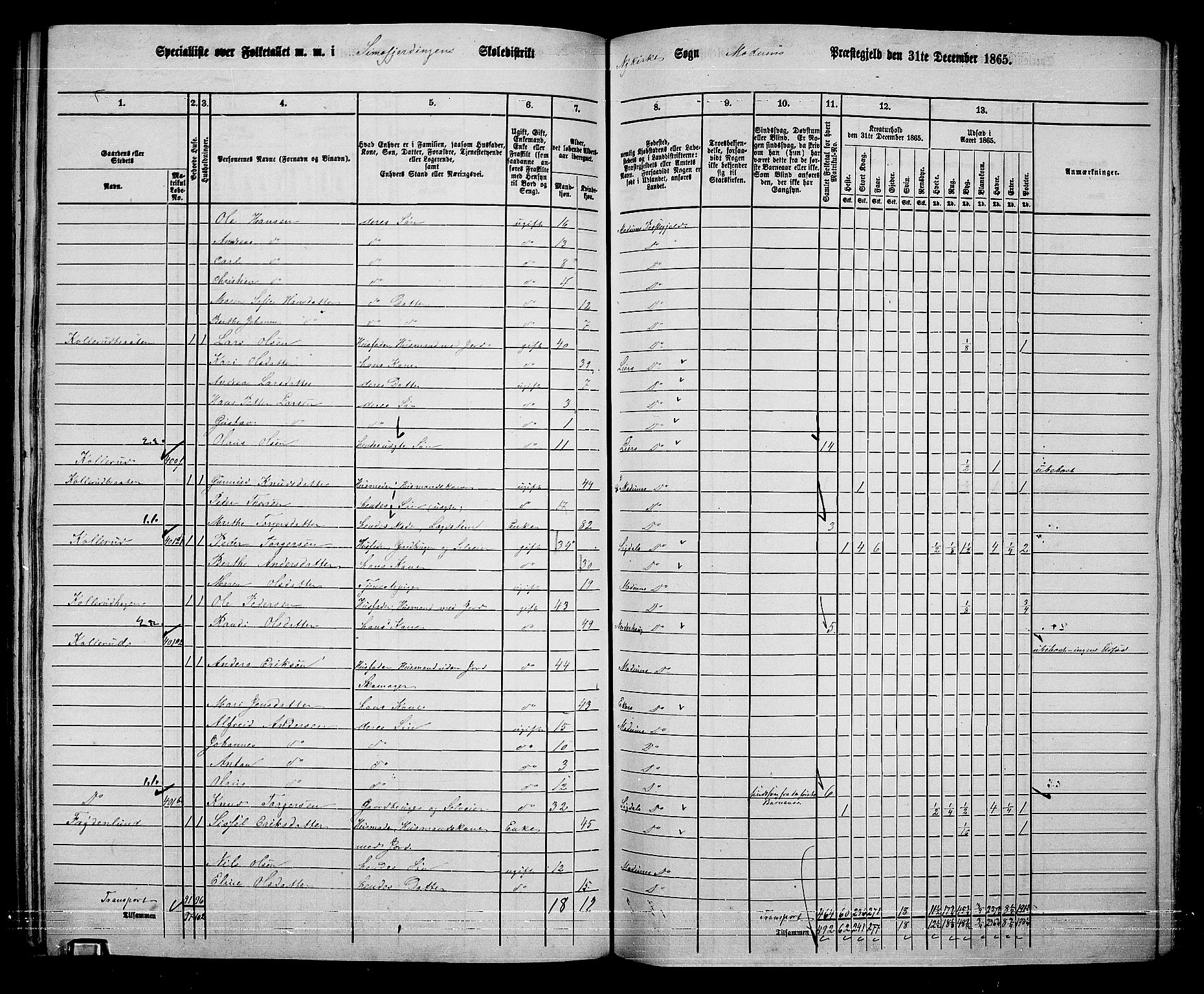 RA, 1865 census for Modum, 1865, p. 274