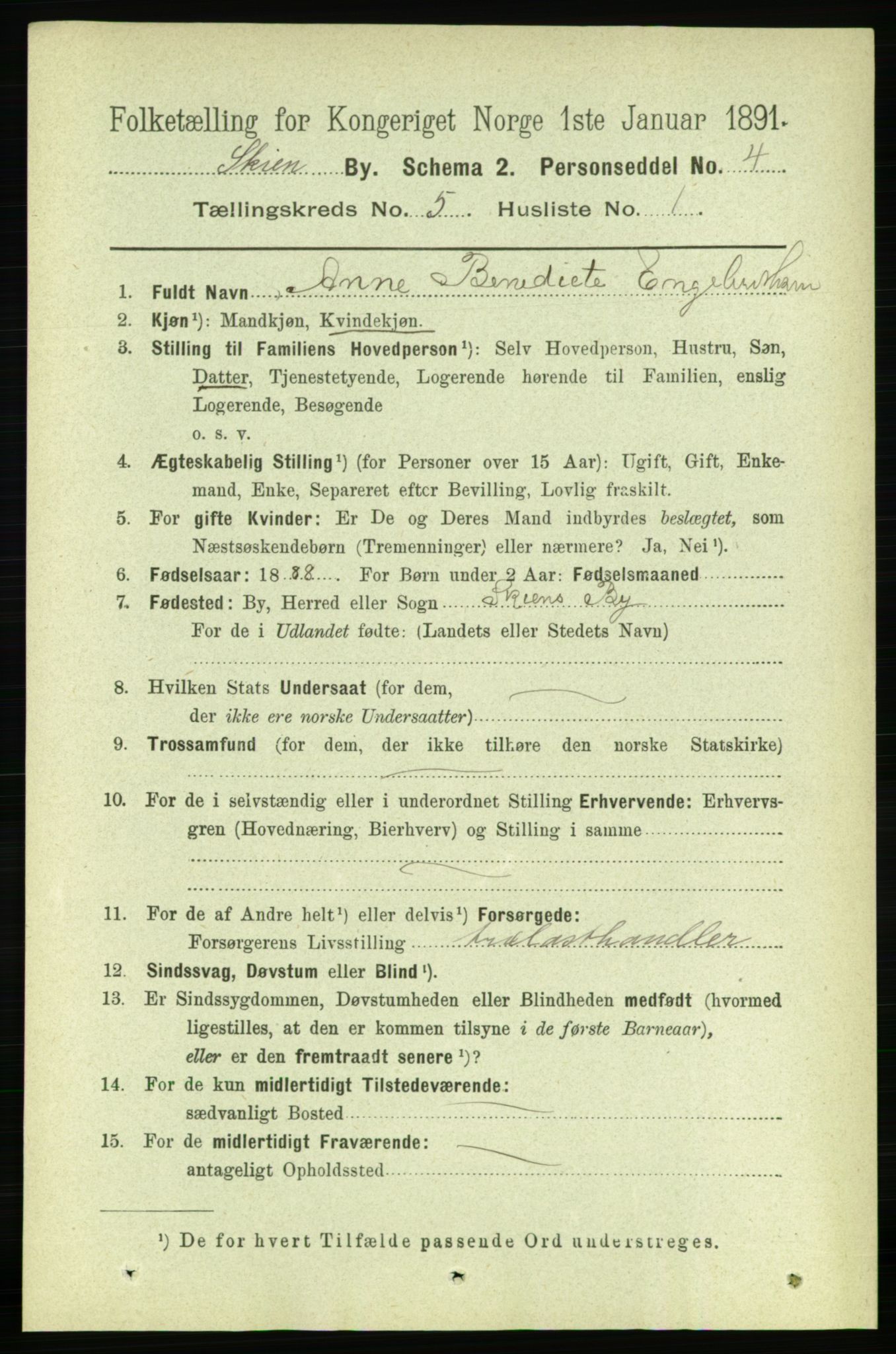 RA, 1891 census for 0806 Skien, 1891, p. 2884