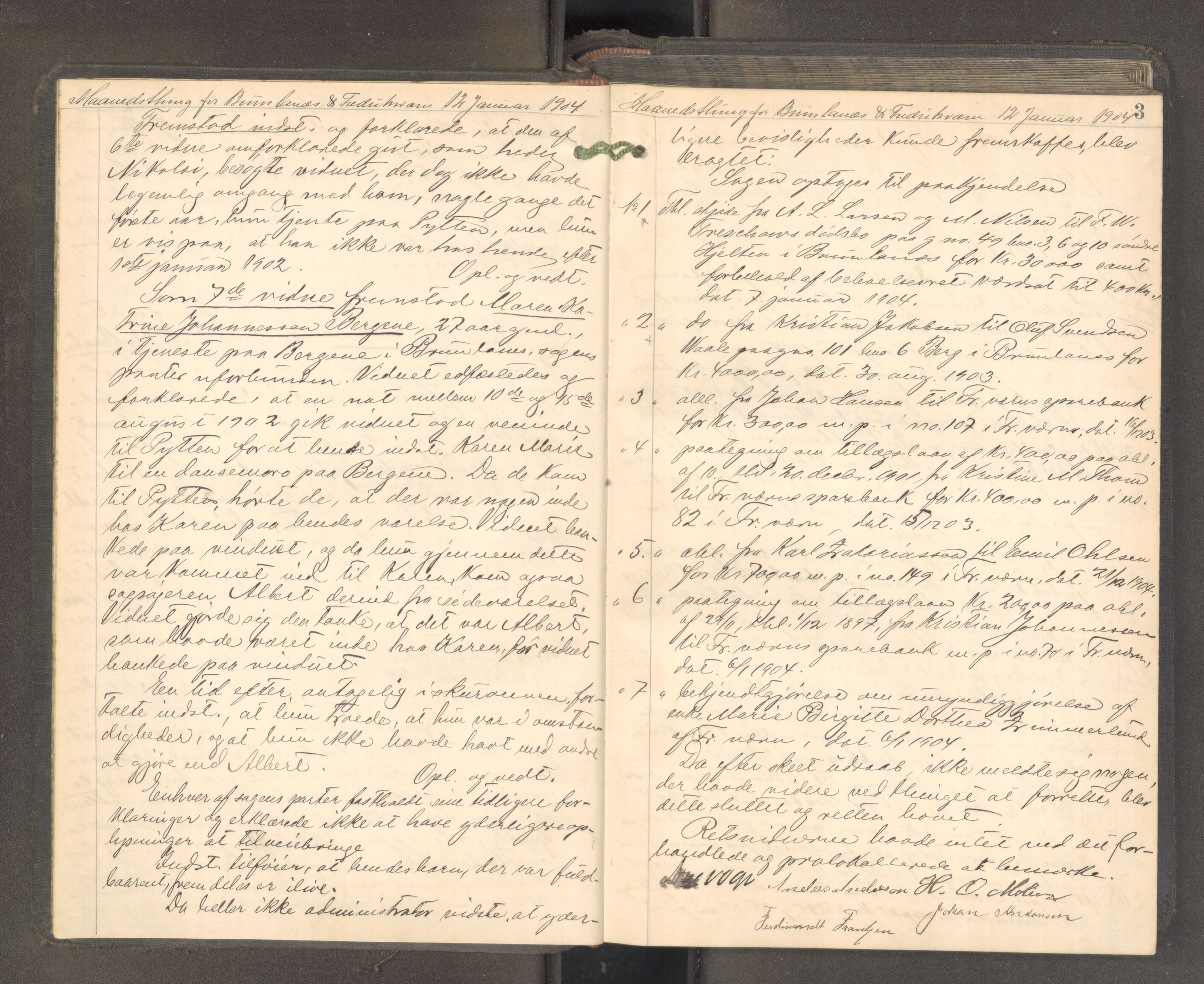 Larvik sorenskriveri, AV/SAKO-A-83/F/Fa/L0057: Tingbok, 1904-1905, p. 2b-3a