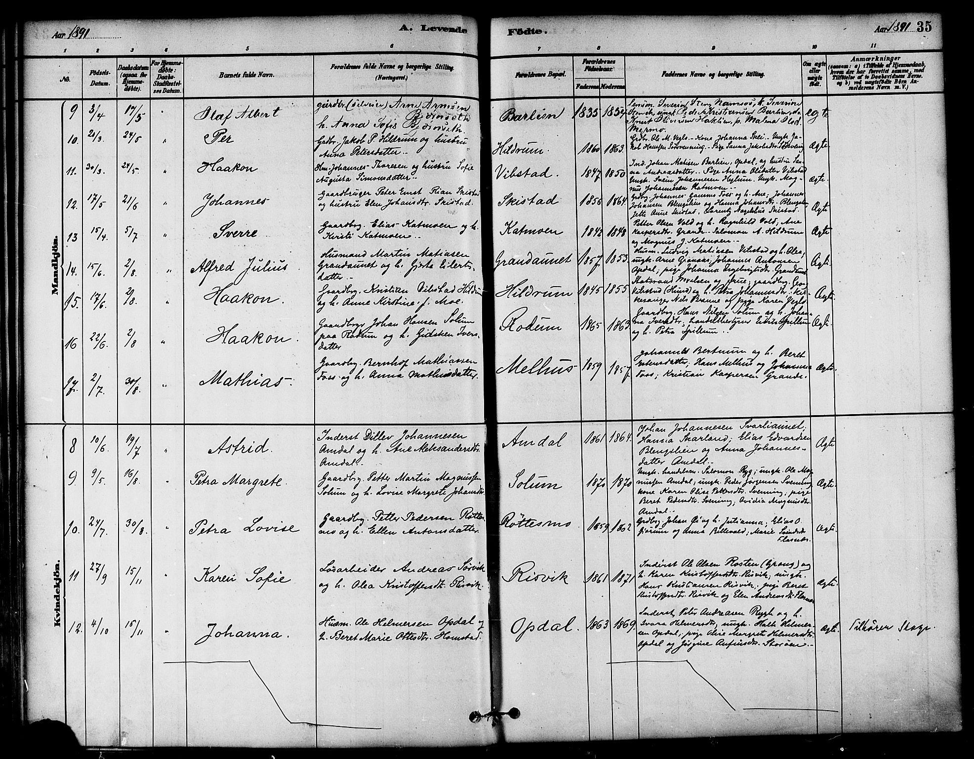 Ministerialprotokoller, klokkerbøker og fødselsregistre - Nord-Trøndelag, SAT/A-1458/764/L0555: Parish register (official) no. 764A10, 1881-1896, p. 35