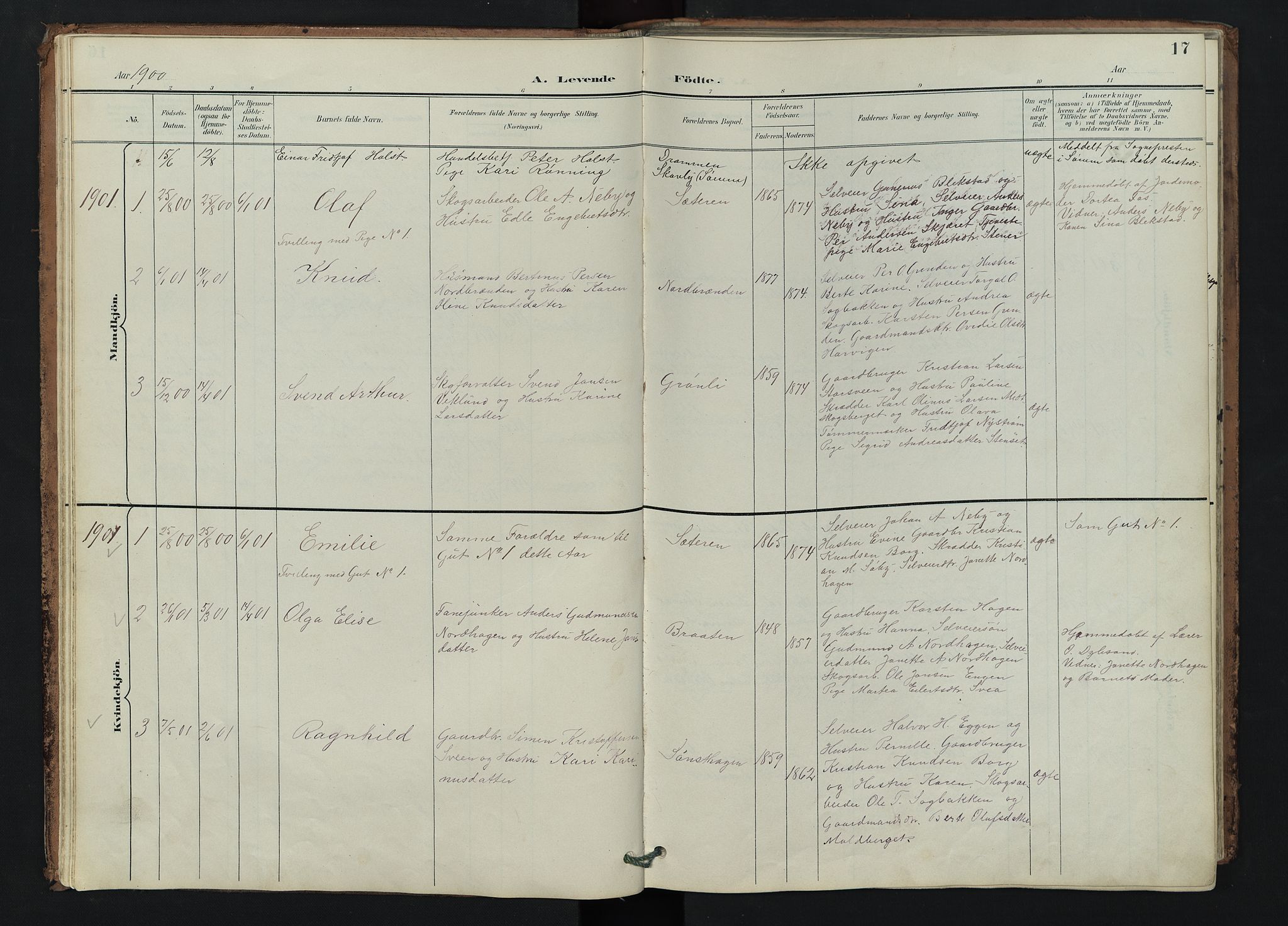 Trysil prestekontor, SAH/PREST-046/H/Ha/Hab/L0007: Parish register (copy) no. 7, 1896-1948, p. 17