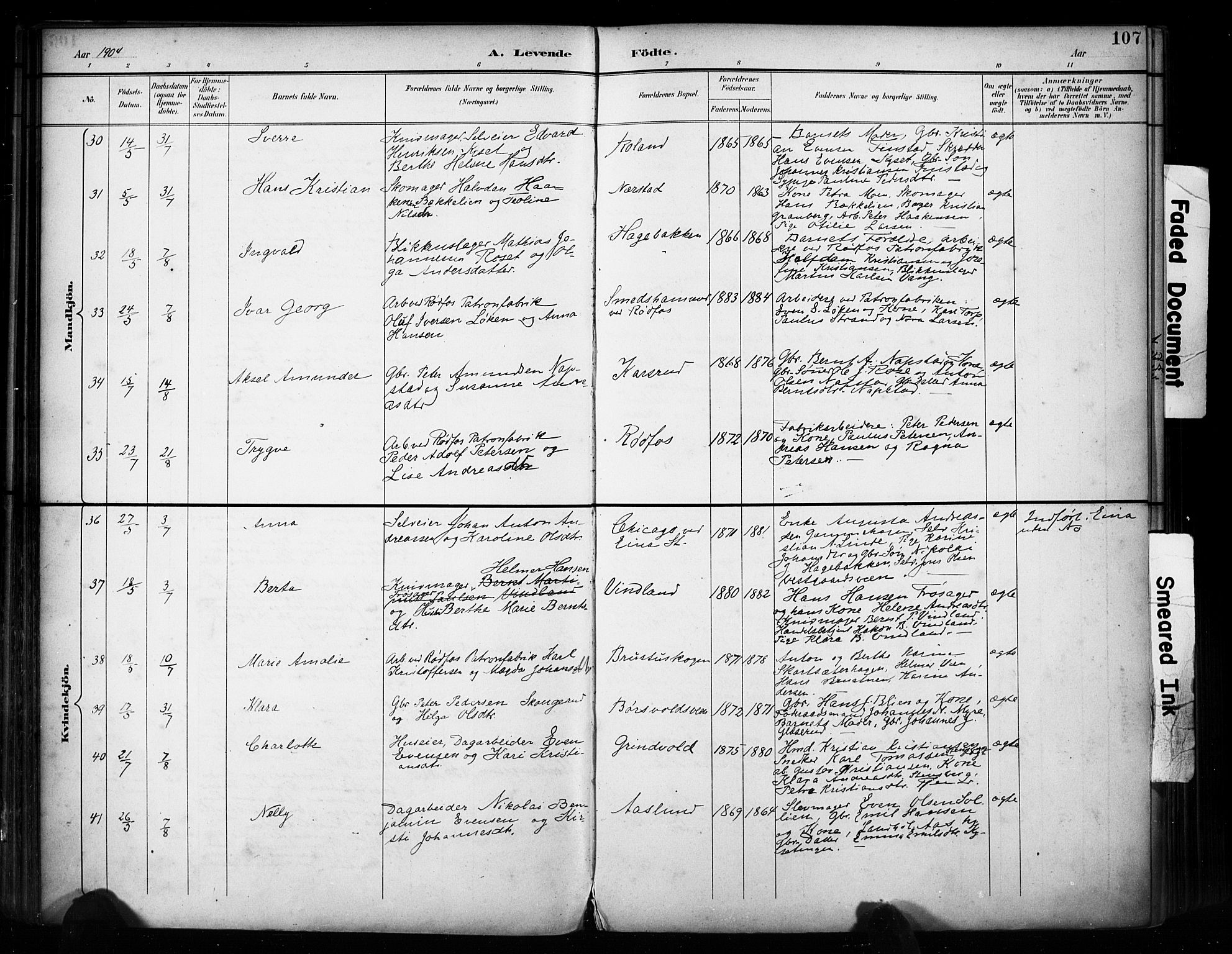 Vestre Toten prestekontor, AV/SAH-PREST-108/H/Ha/Haa/L0011: Parish register (official) no. 11, 1895-1906, p. 107