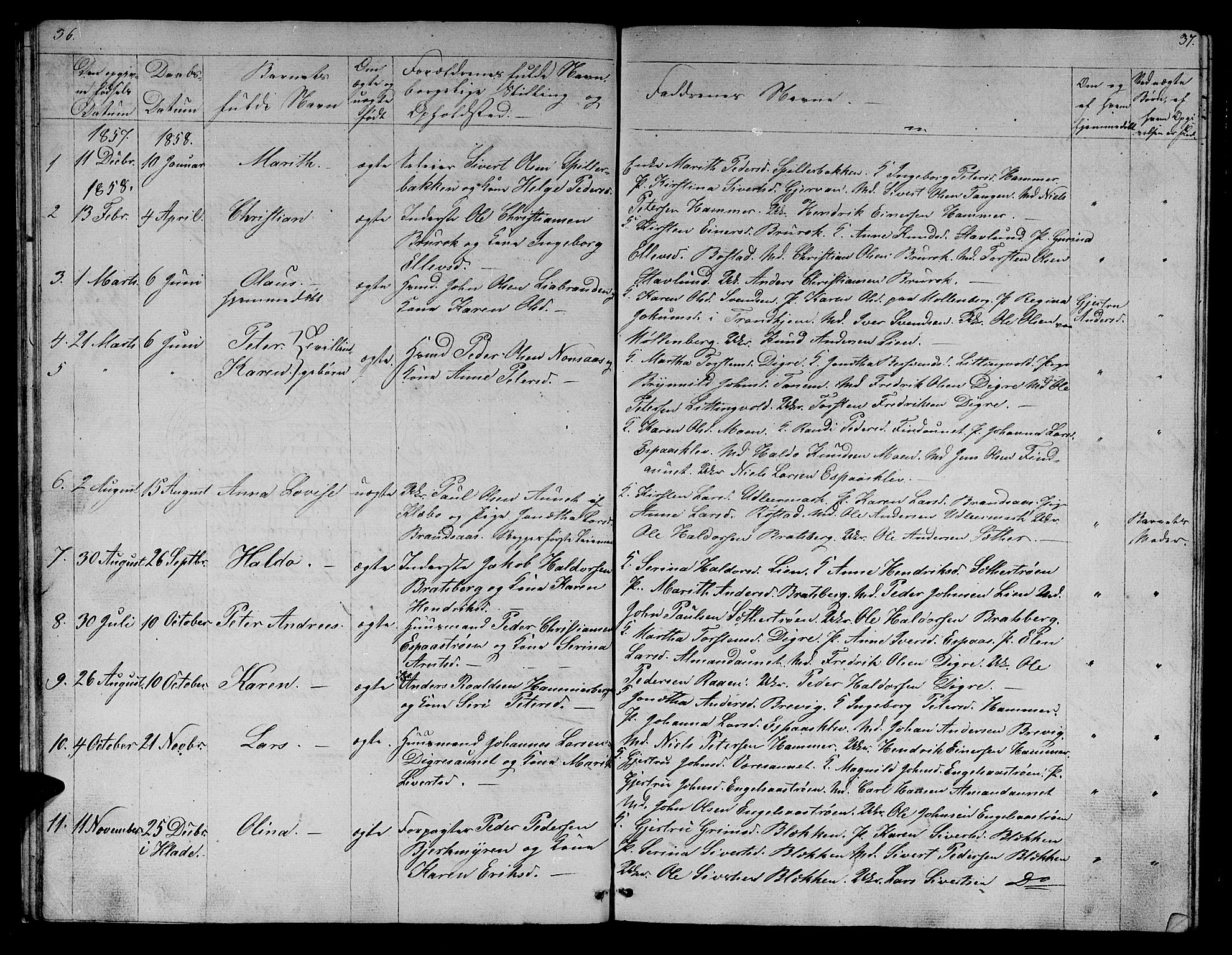 Ministerialprotokoller, klokkerbøker og fødselsregistre - Sør-Trøndelag, SAT/A-1456/608/L0339: Parish register (copy) no. 608C05, 1844-1863, p. 36-37