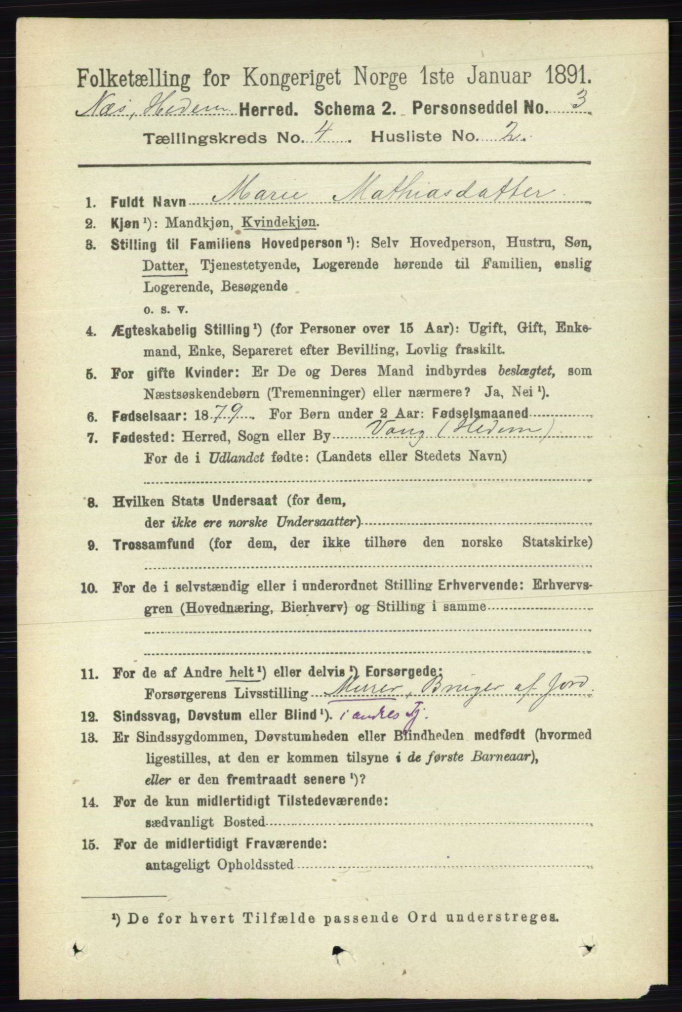 RA, 1891 census for 0411 Nes, 1891, p. 2050