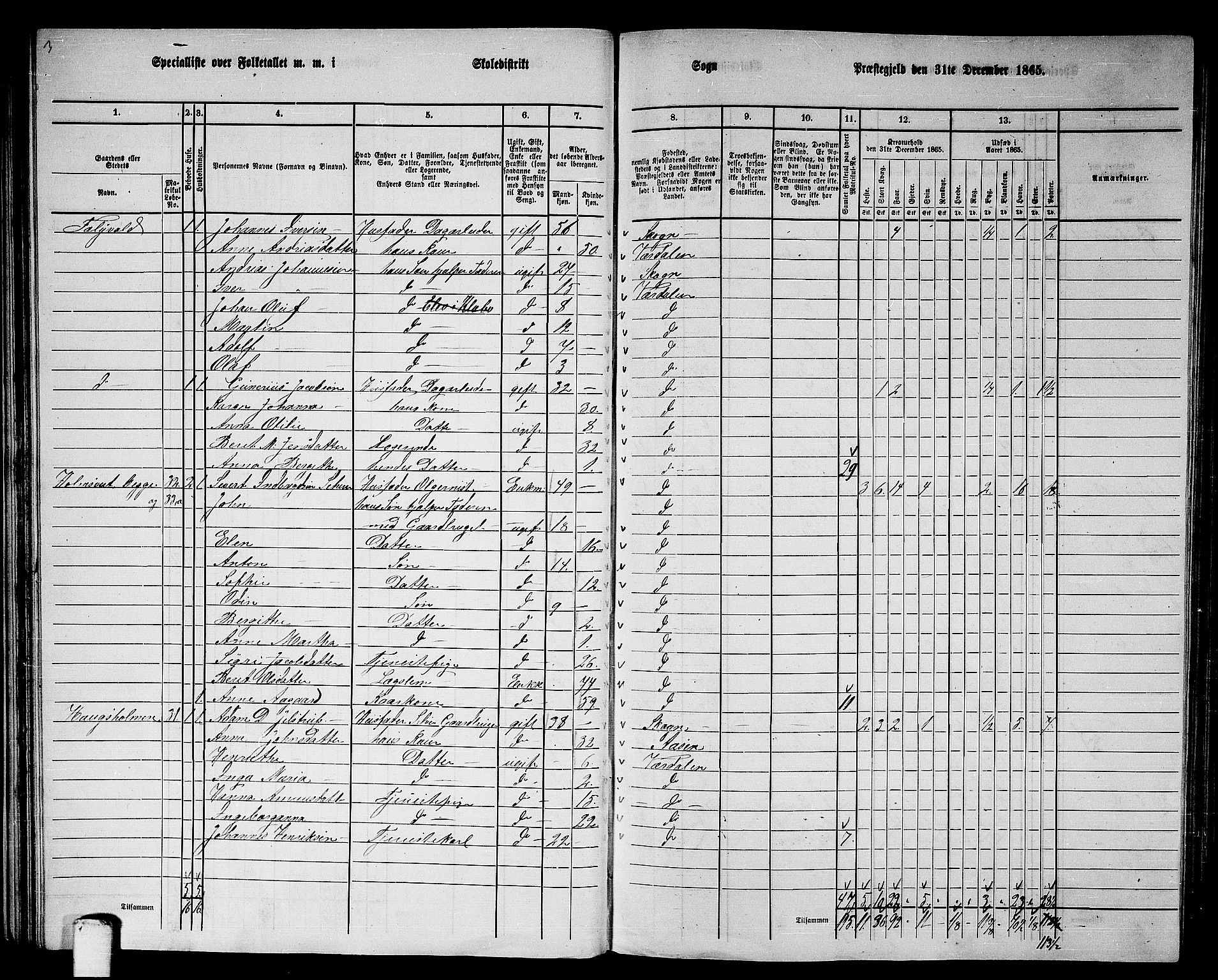 RA, 1865 census for Verdal, 1865, p. 40