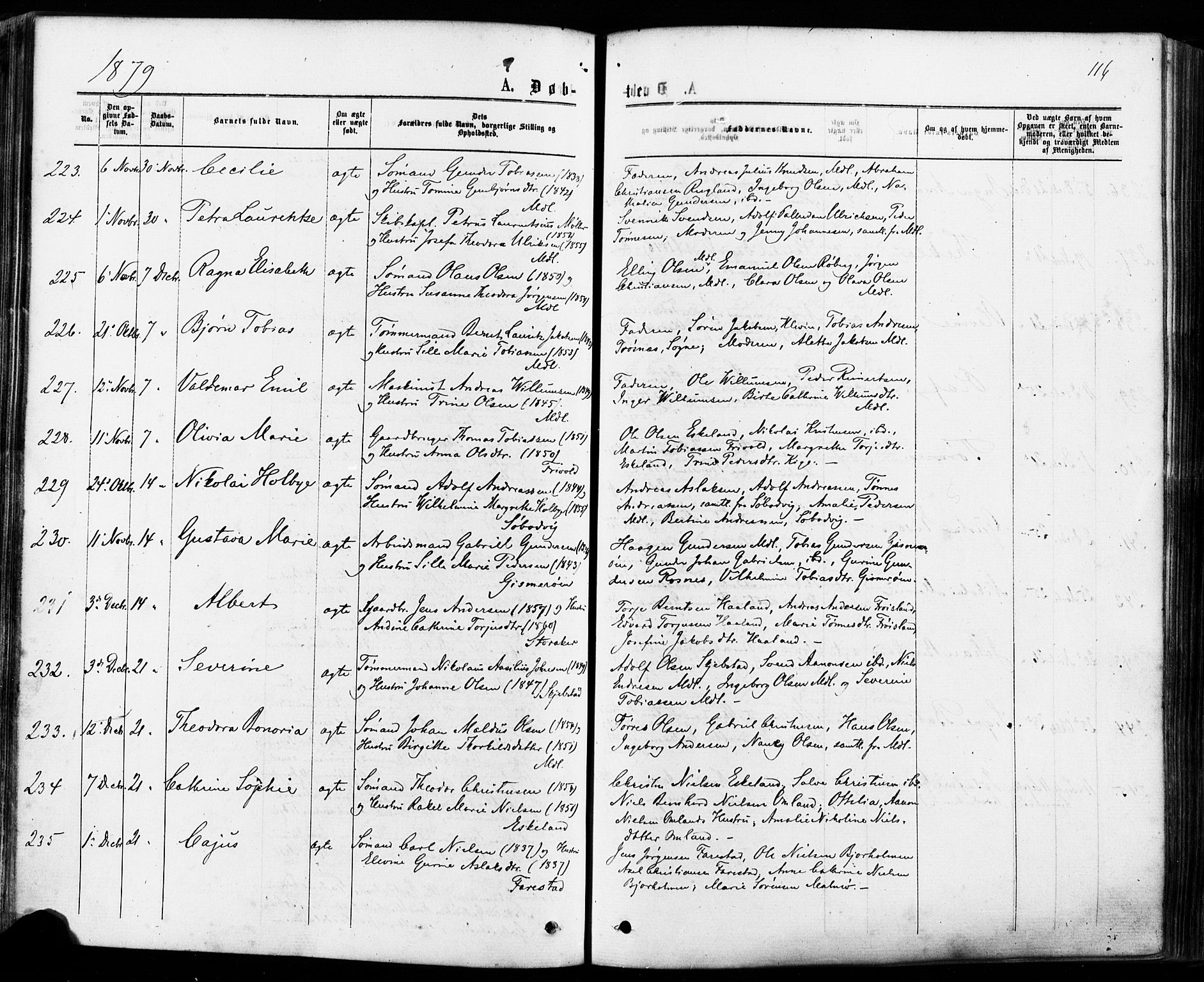 Mandal sokneprestkontor, AV/SAK-1111-0030/F/Fa/Faa/L0015: Parish register (official) no. A 15, 1873-1879, p. 116