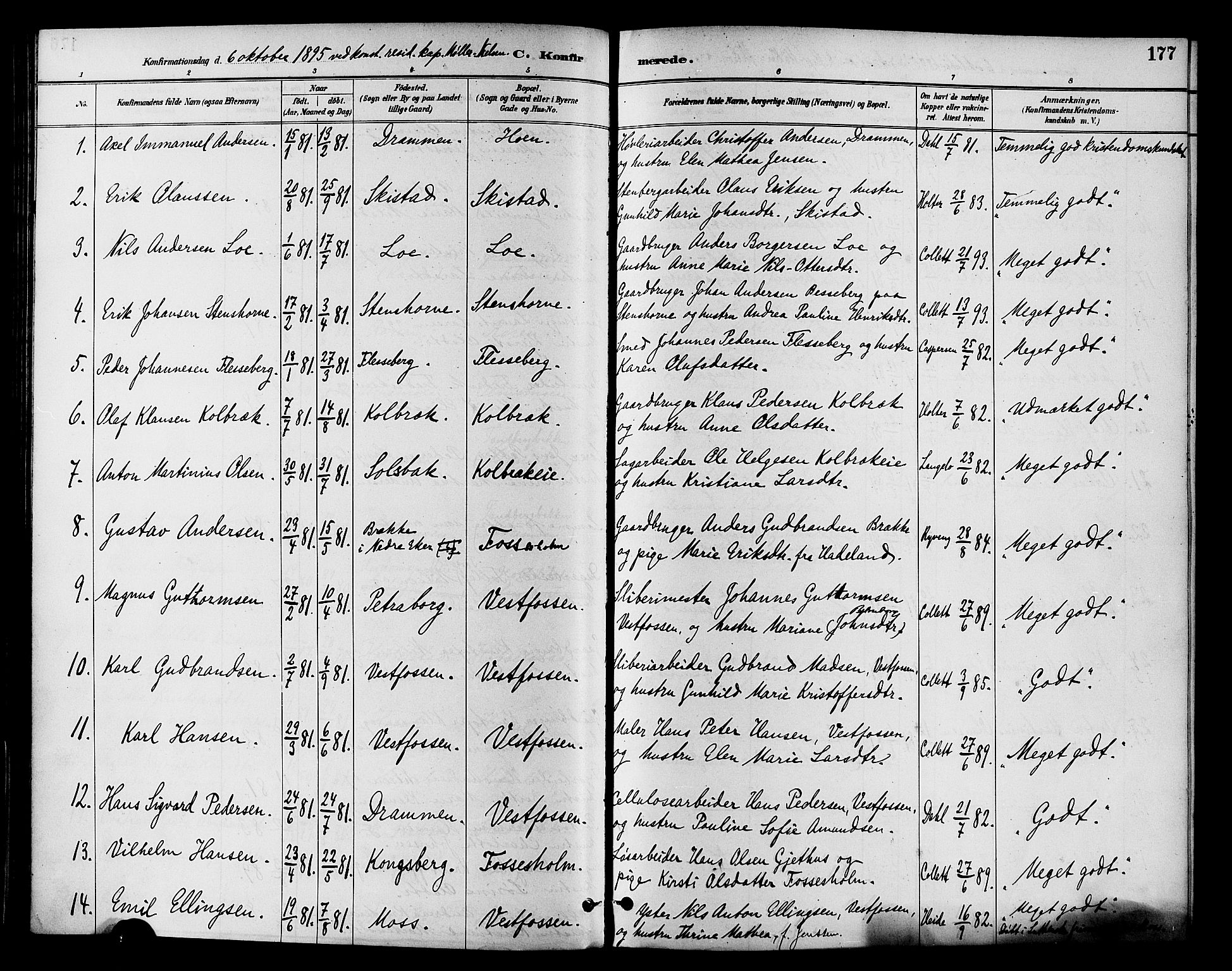 Eiker kirkebøker, AV/SAKO-A-4/F/Fb/L0002: Parish register (official) no. II 2, 1889-1896, p. 177