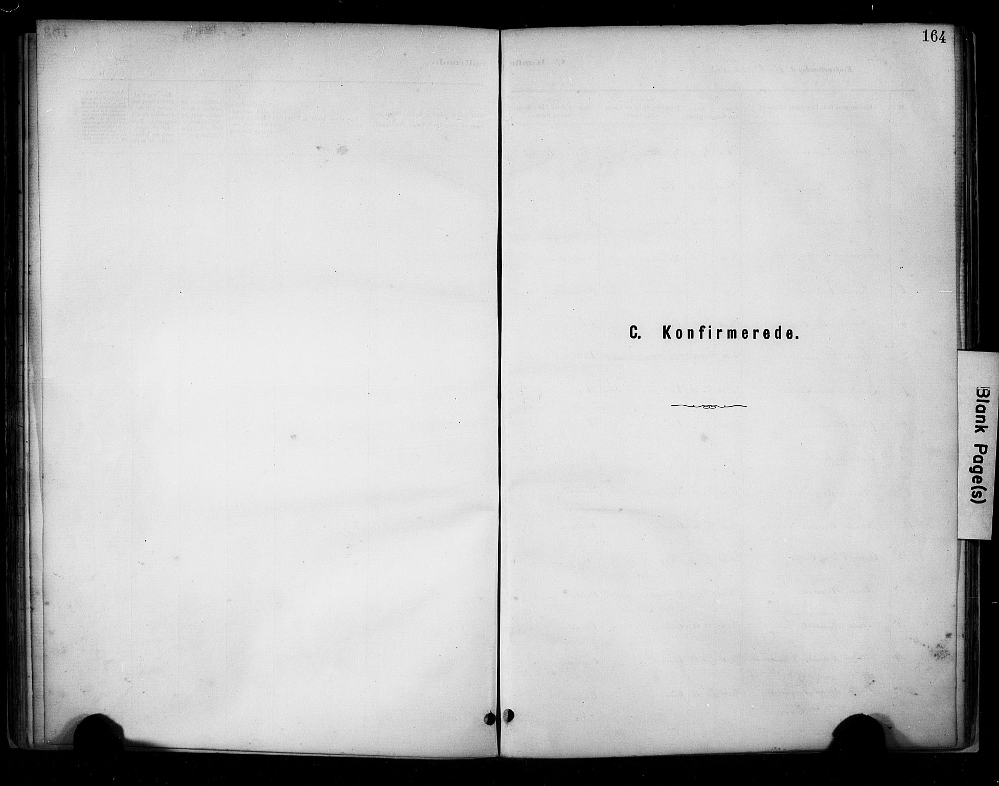 Hetland sokneprestkontor, SAST/A-101826/30/30BA/L0009: Parish register (official) no. A 9, 1882-1918, p. 164