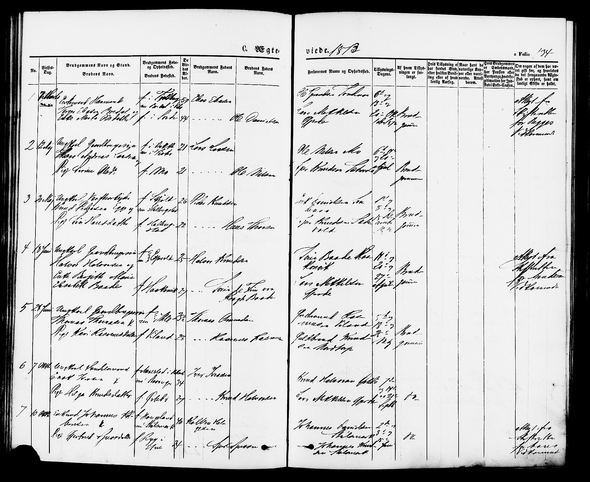 Vikedal sokneprestkontor, AV/SAST-A-101840/01/IV: Parish register (official) no. A 7, 1868-1883, p. 134