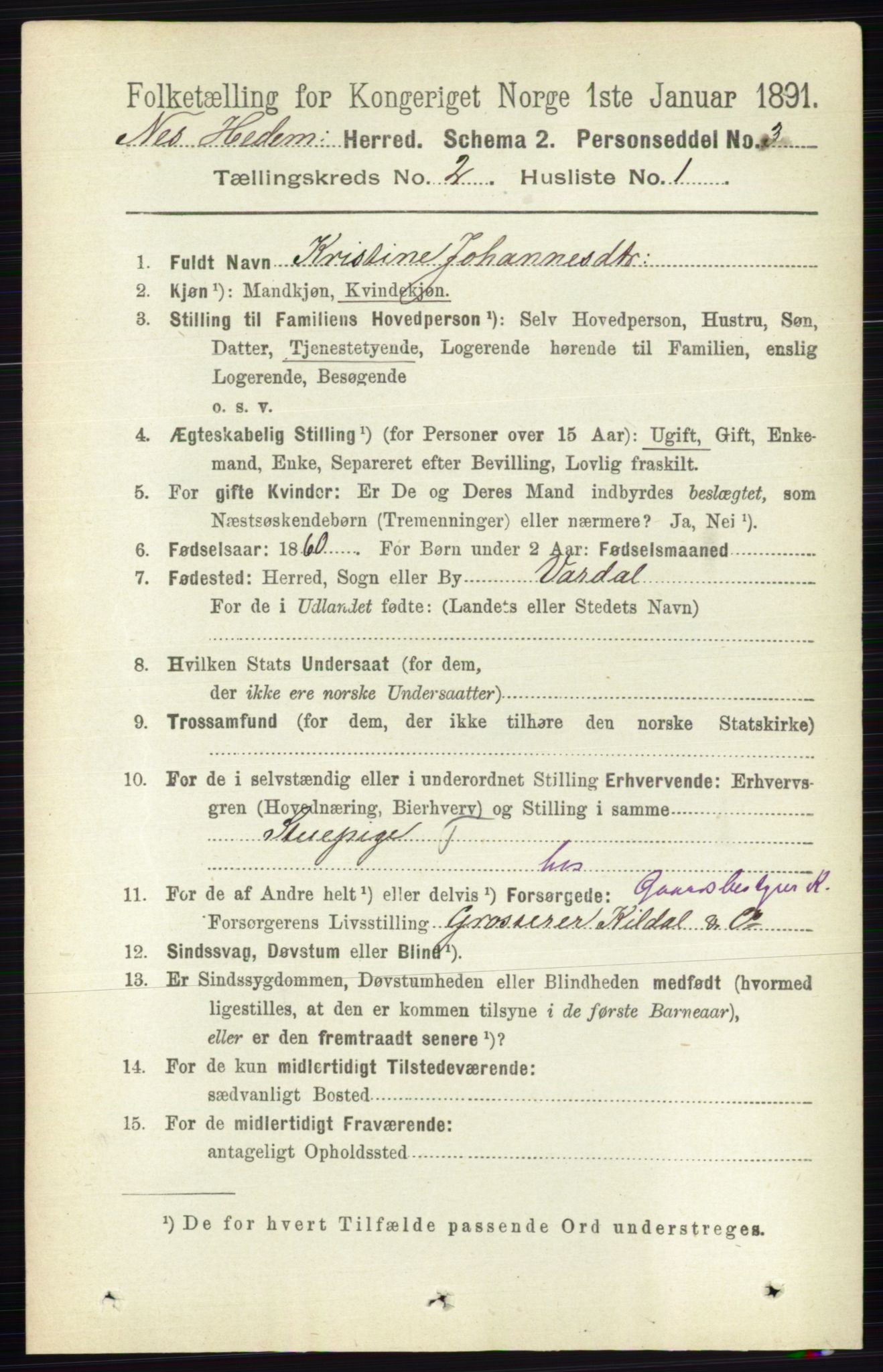 RA, 1891 census for 0411 Nes, 1891, p. 1074