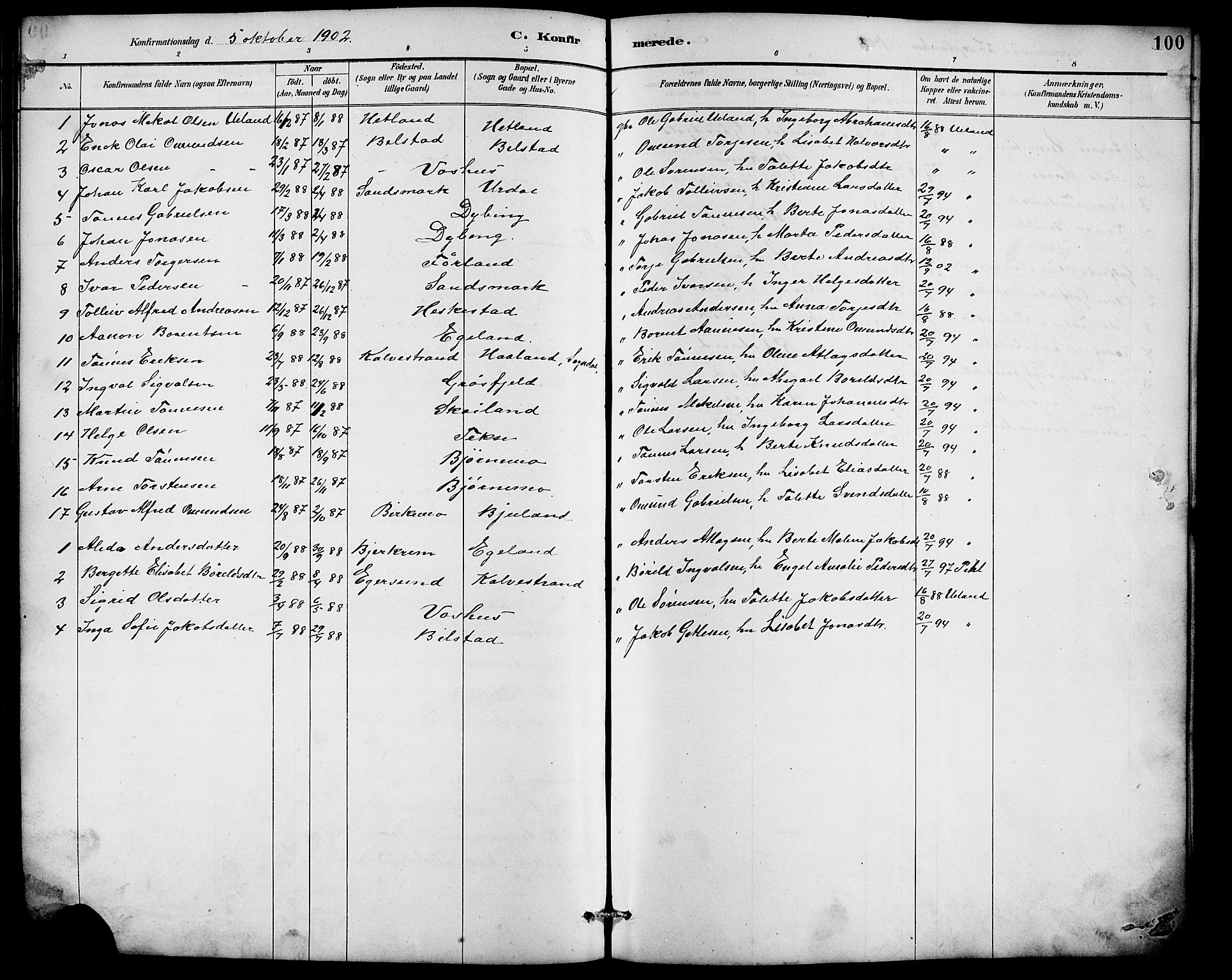 Lund sokneprestkontor, AV/SAST-A-101809/S07/L0007: Parish register (copy) no. B 7, 1890-1925, p. 100