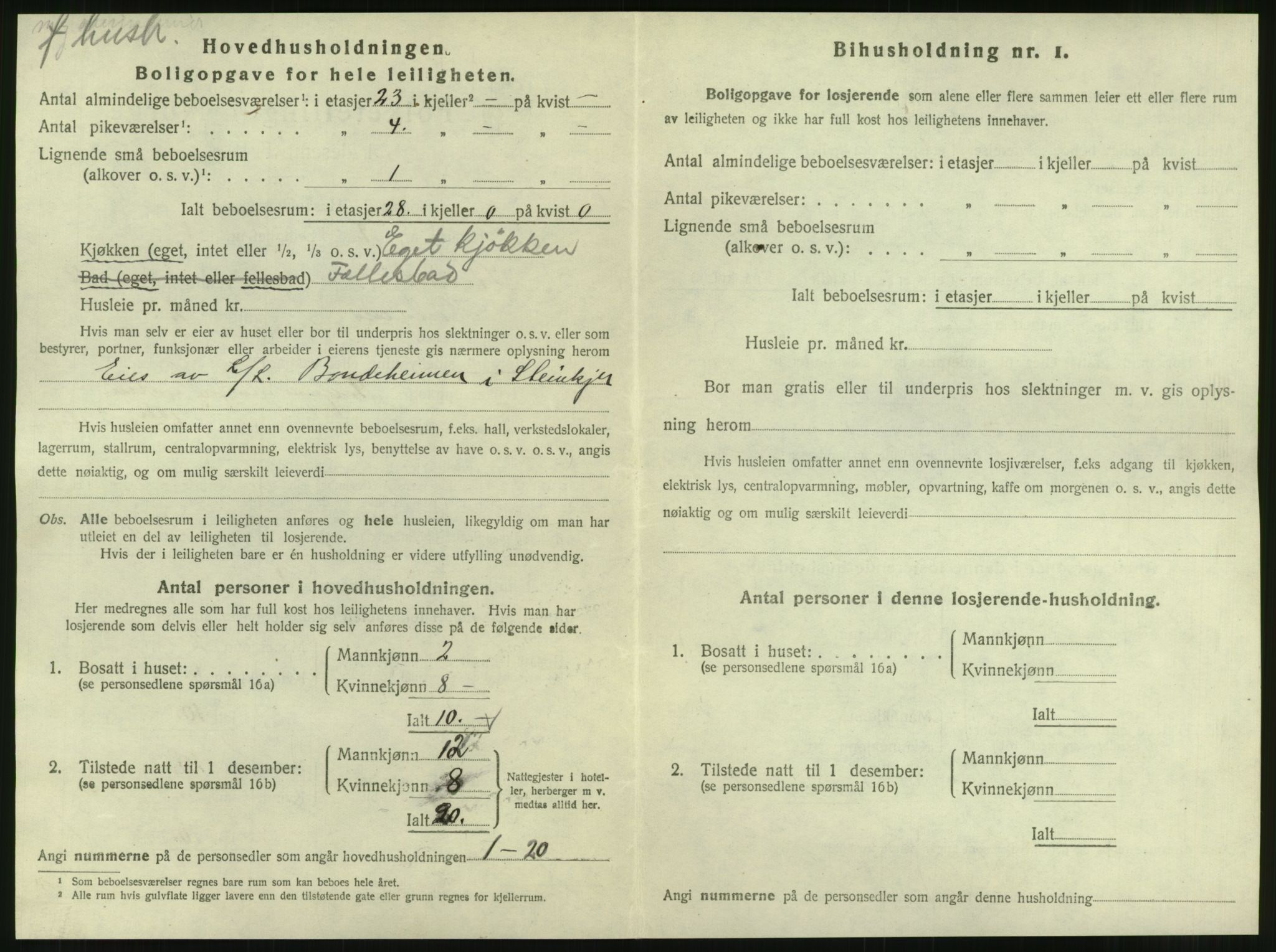 SAT, 1920 census for Steinkjer, 1920, p. 1445