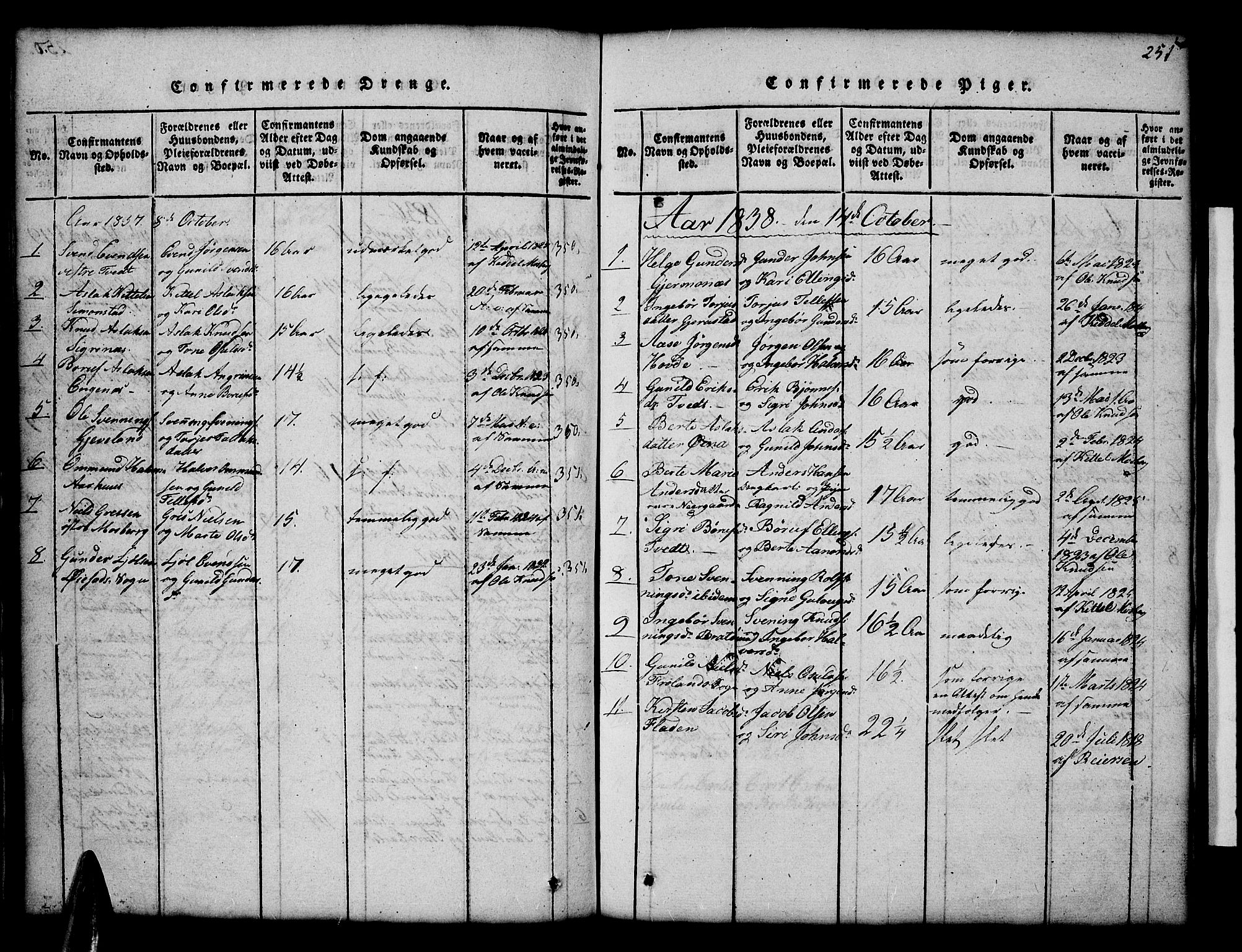 Åmli sokneprestkontor, AV/SAK-1111-0050/F/Fb/Fbc/L0001: Parish register (copy) no. B 1, 1816-1867, p. 251